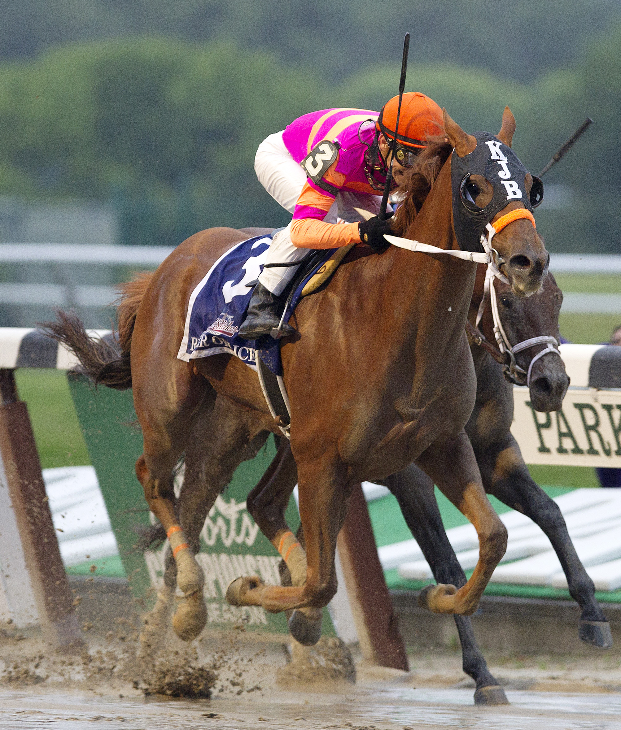Ruler On Ice/Belmont