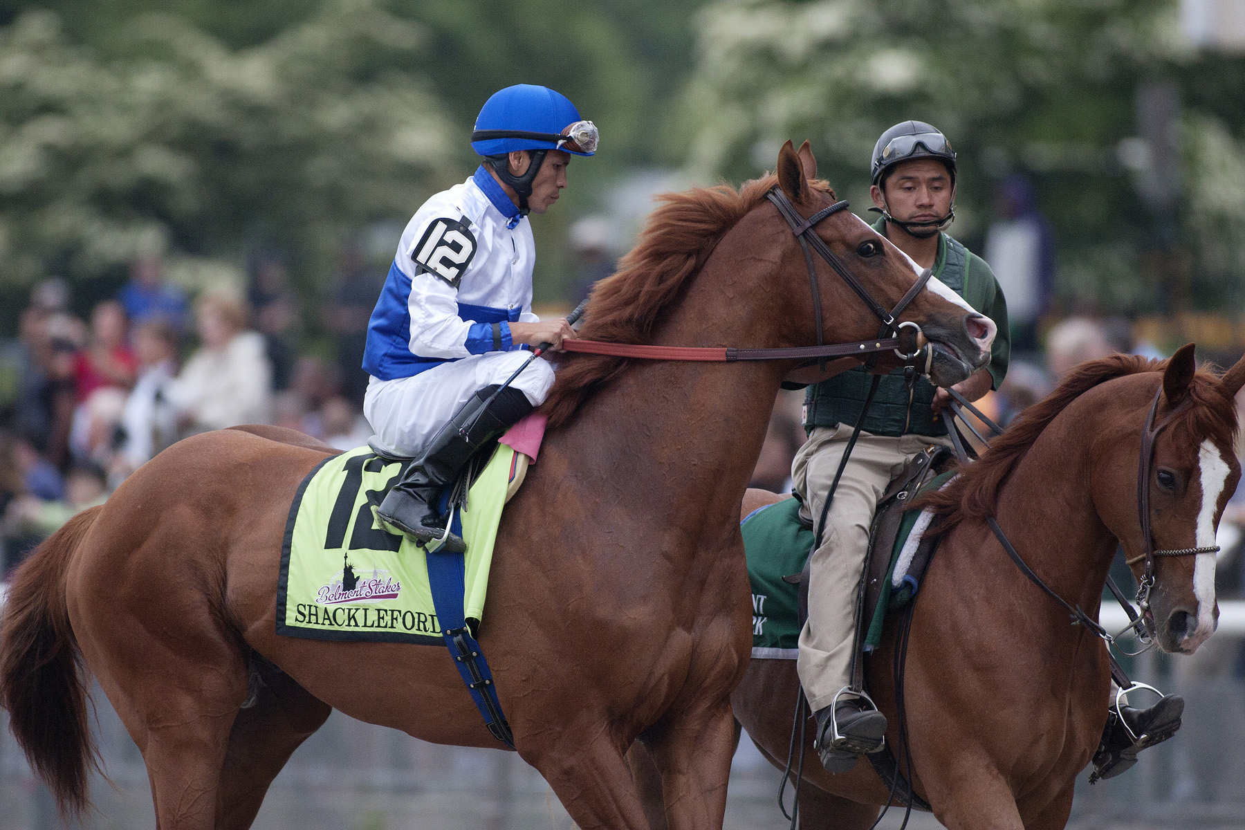 Shackleford