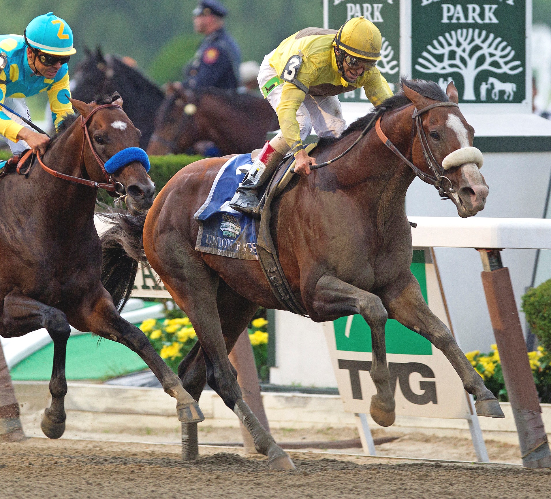 Union Rags, Belmont Stakes