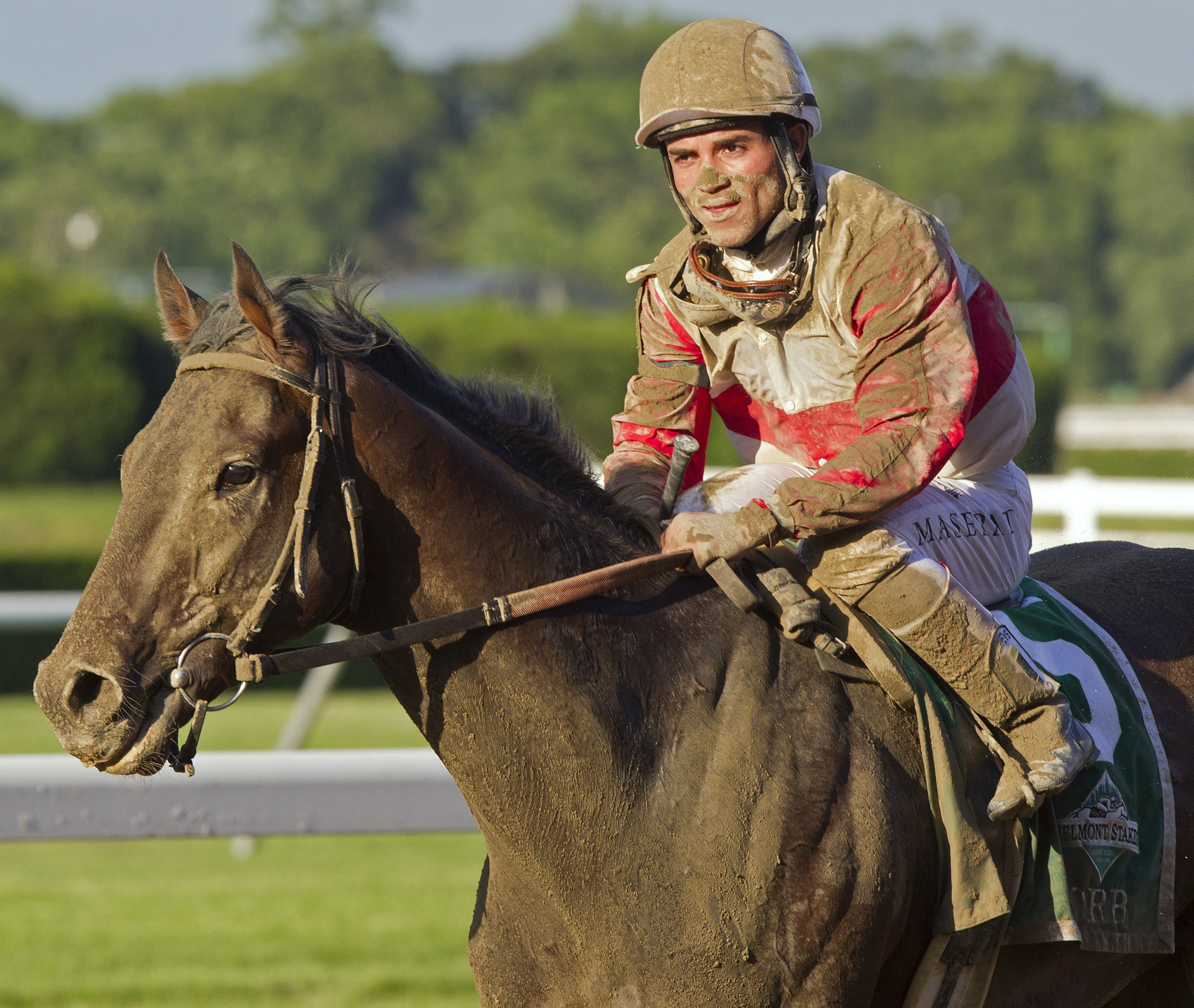 Orb after the Belmont Stakes