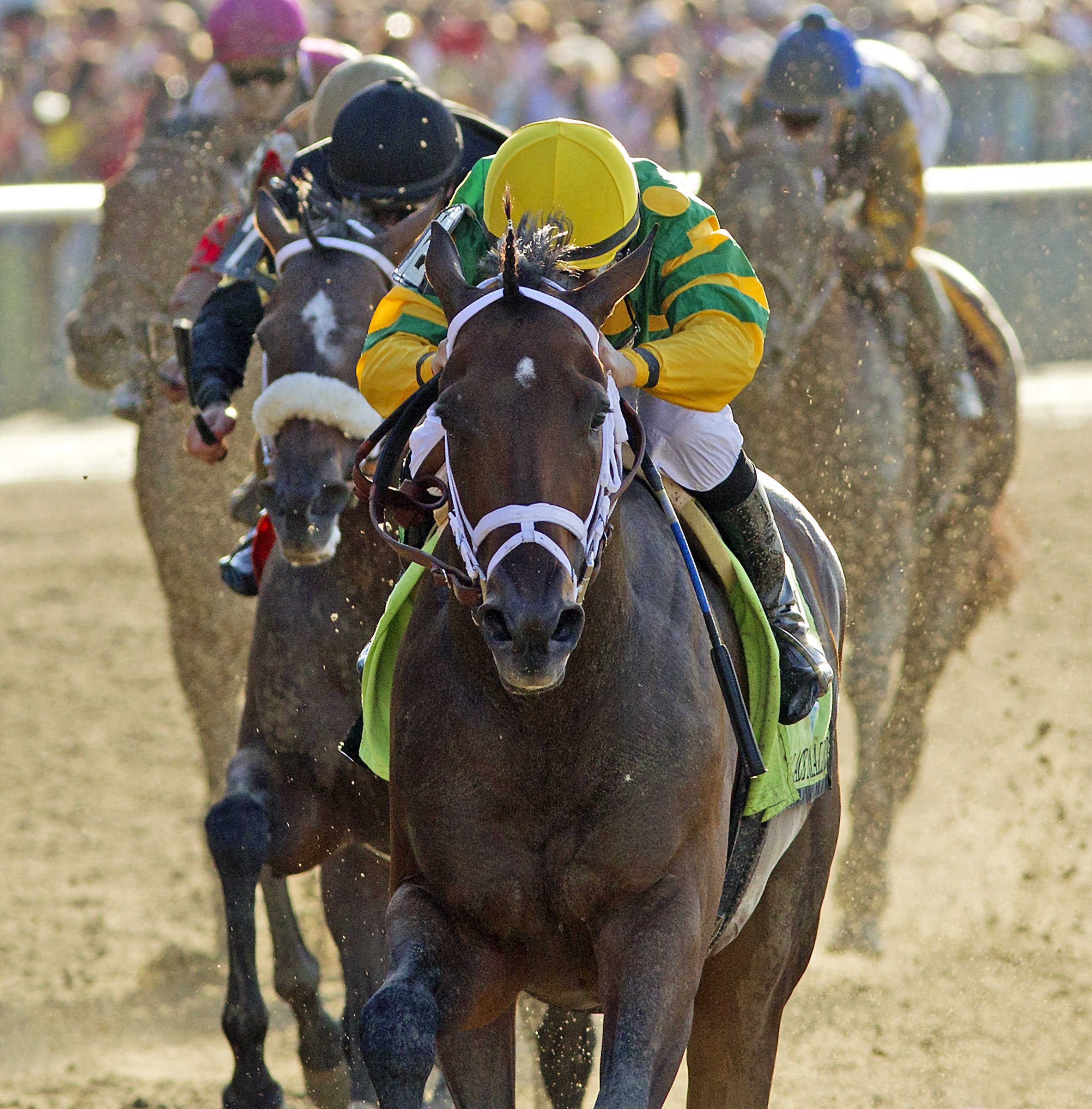 Palace Malice, 145th Belmont Stakes
