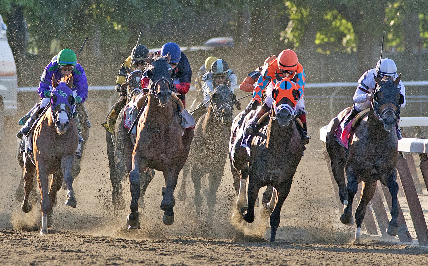 General a Rod finishes seventh in the Belmont Stakes