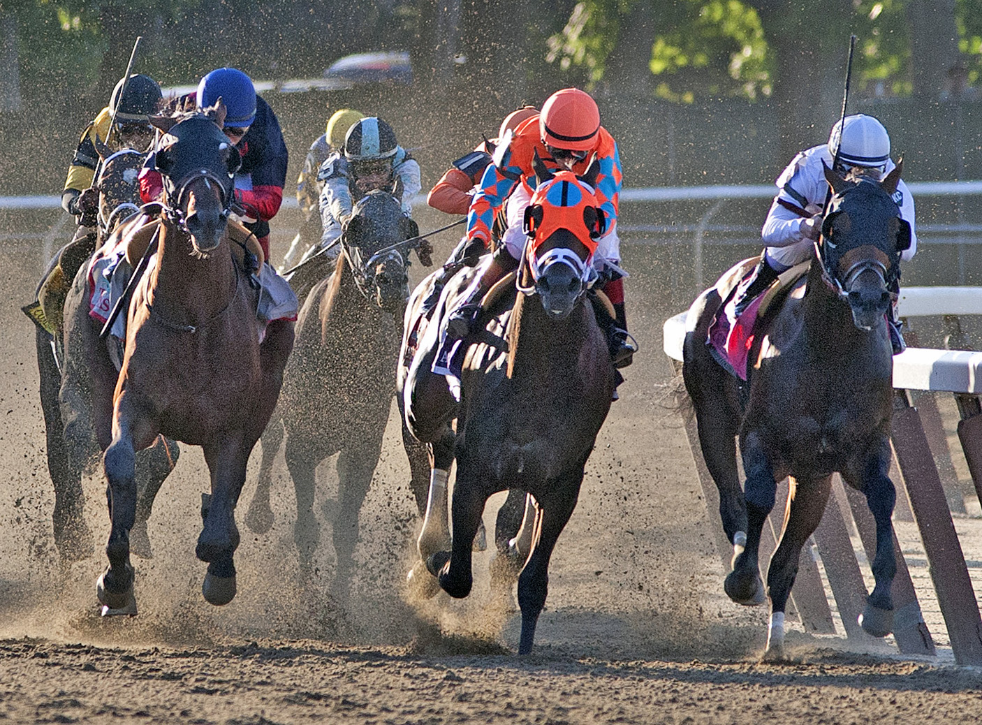 General a Rod in the Belmont Stakes