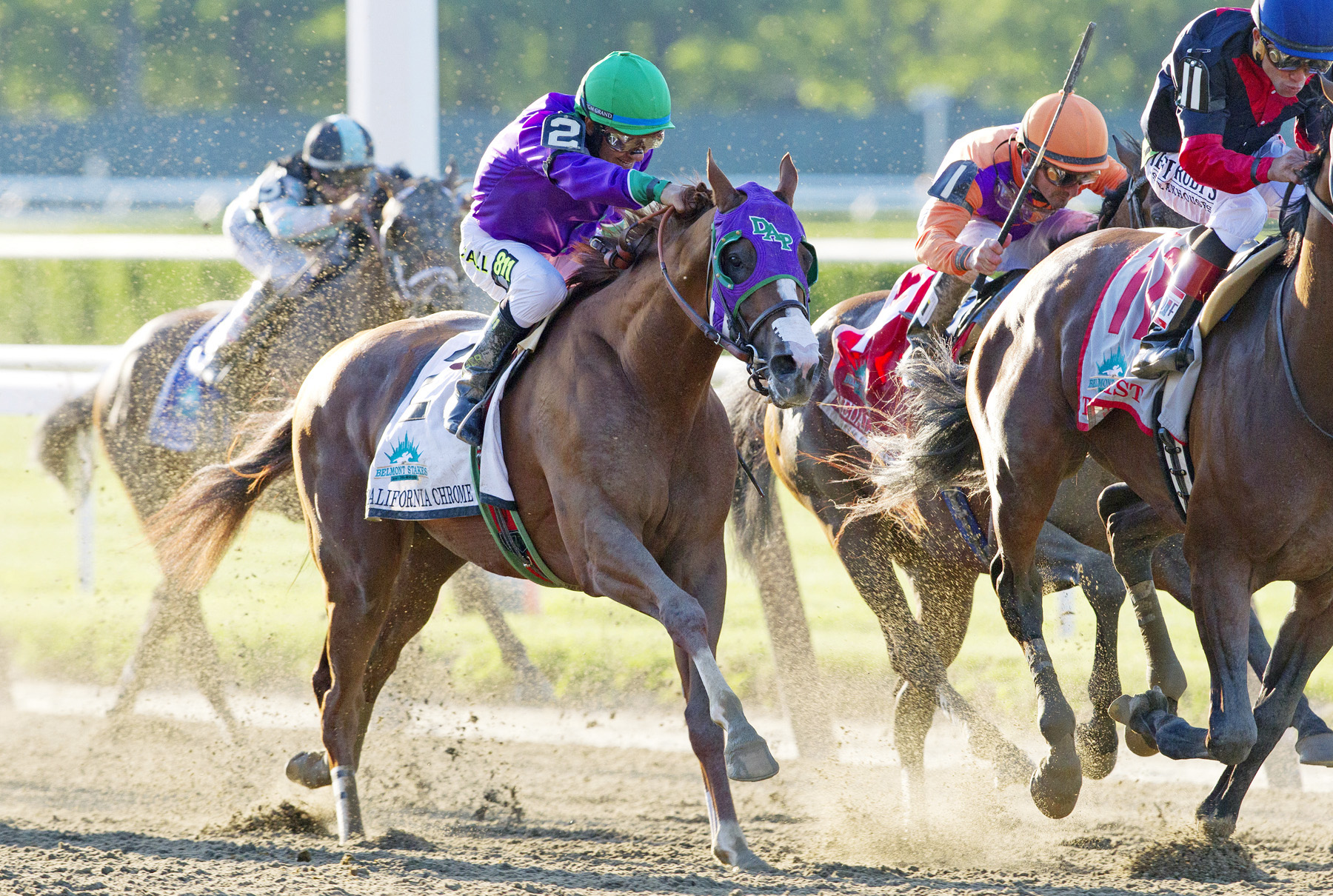 California Chrome finishes fourth in the Belmont Stakes