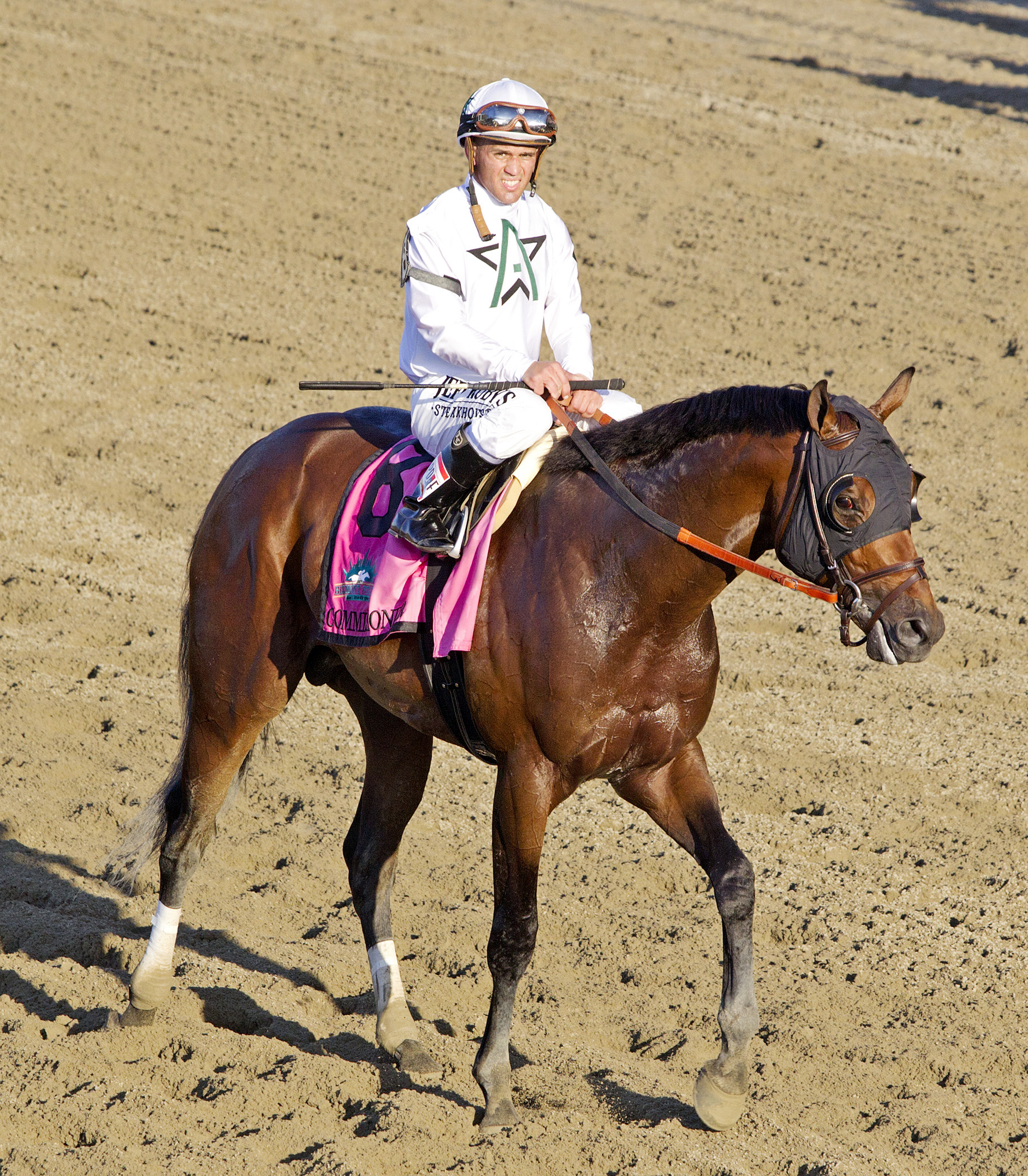 Commissioner after the Belmont Stakes