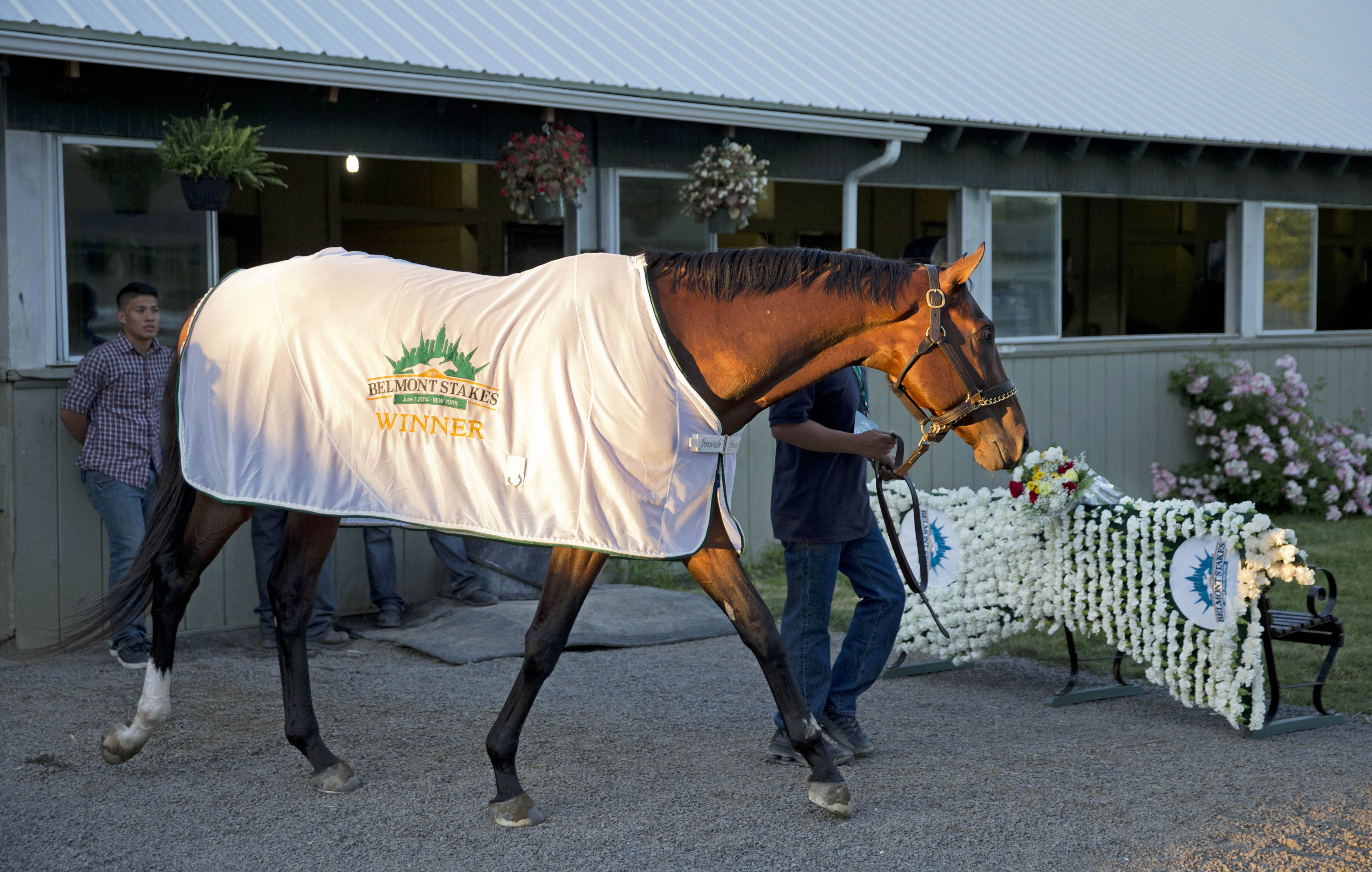 Belmont Stakes winner Tonalist