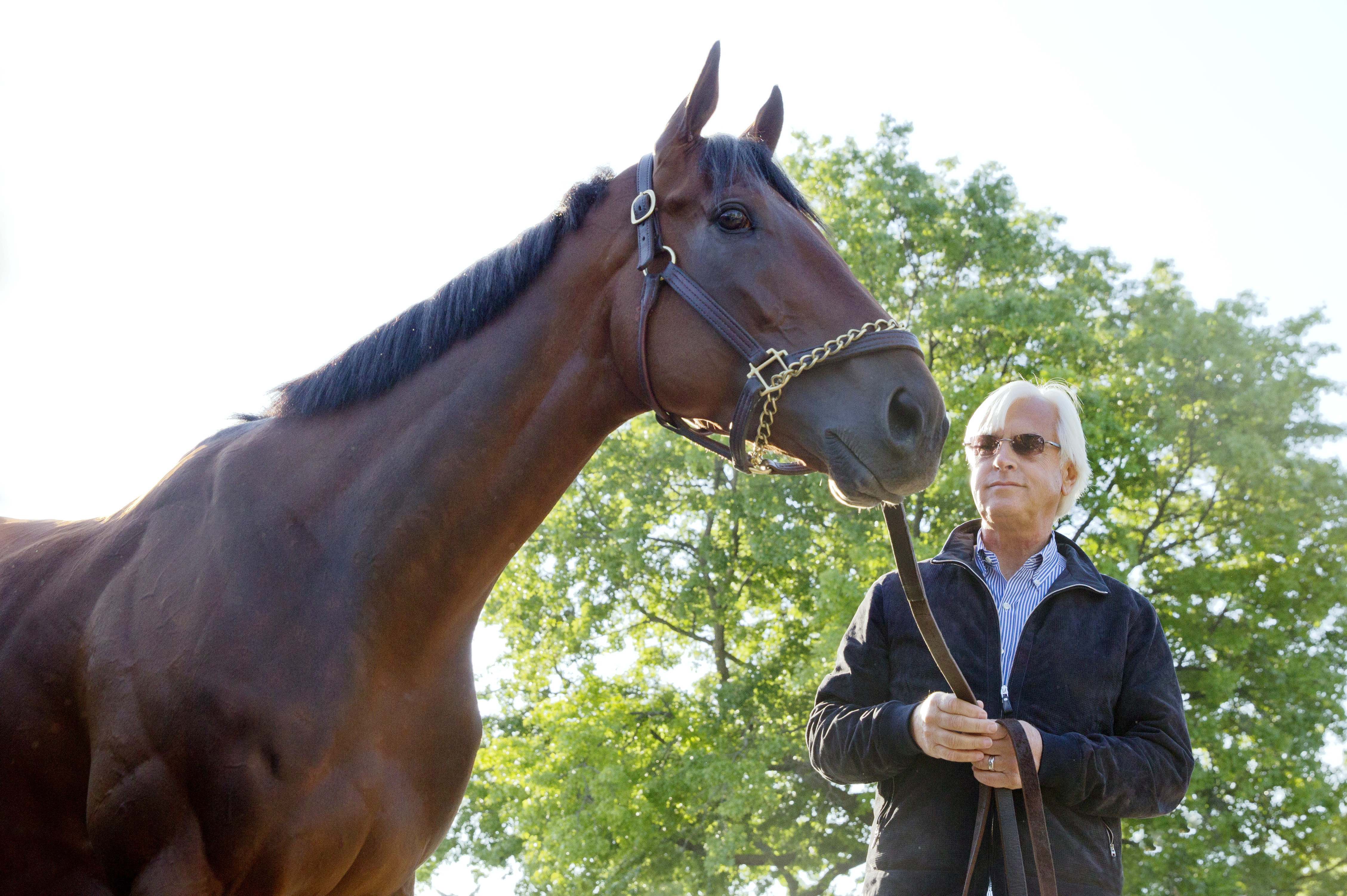 American Pharoah with Bob Baffert