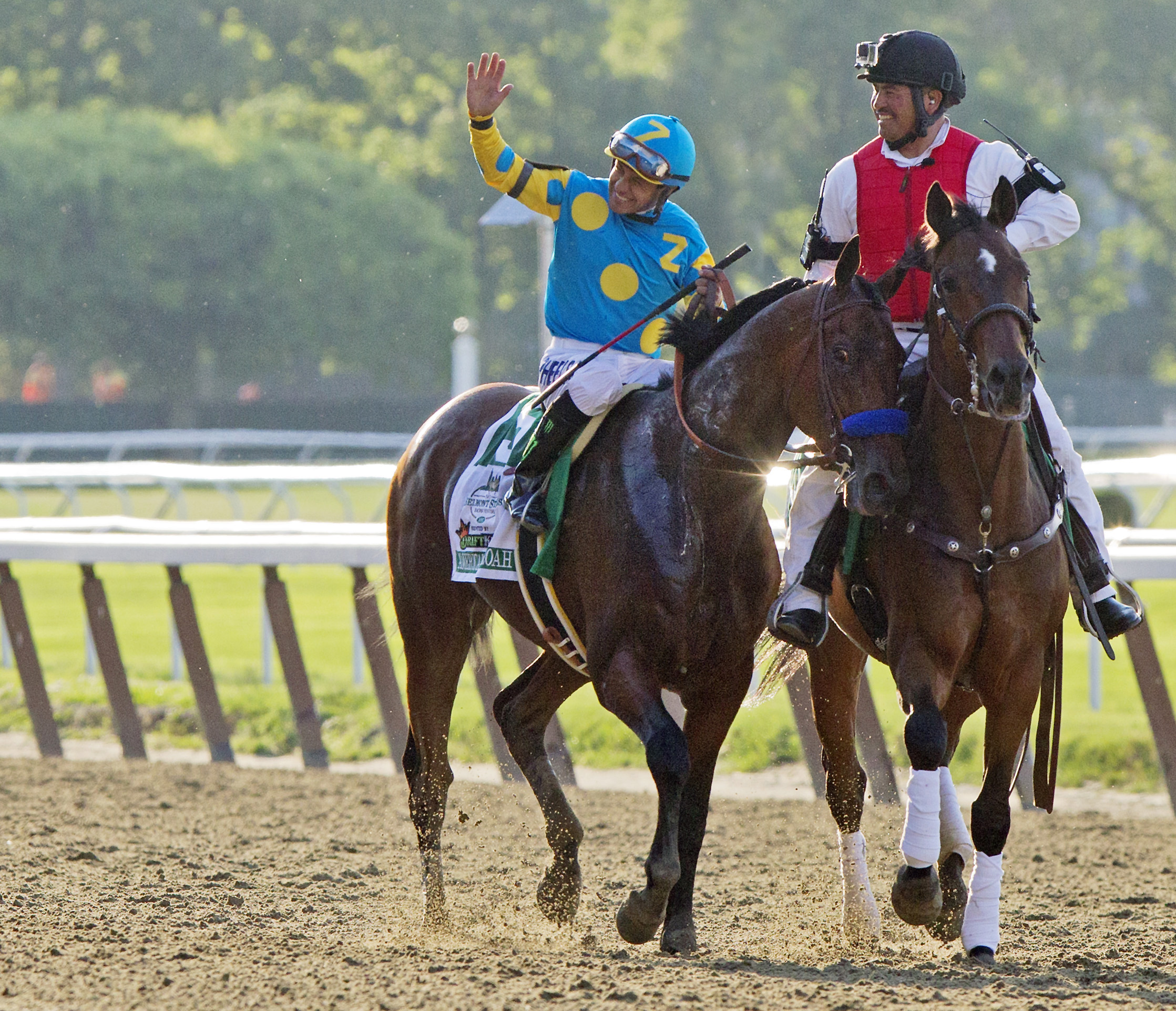 American Pharoah after winning the Belmont Stakes