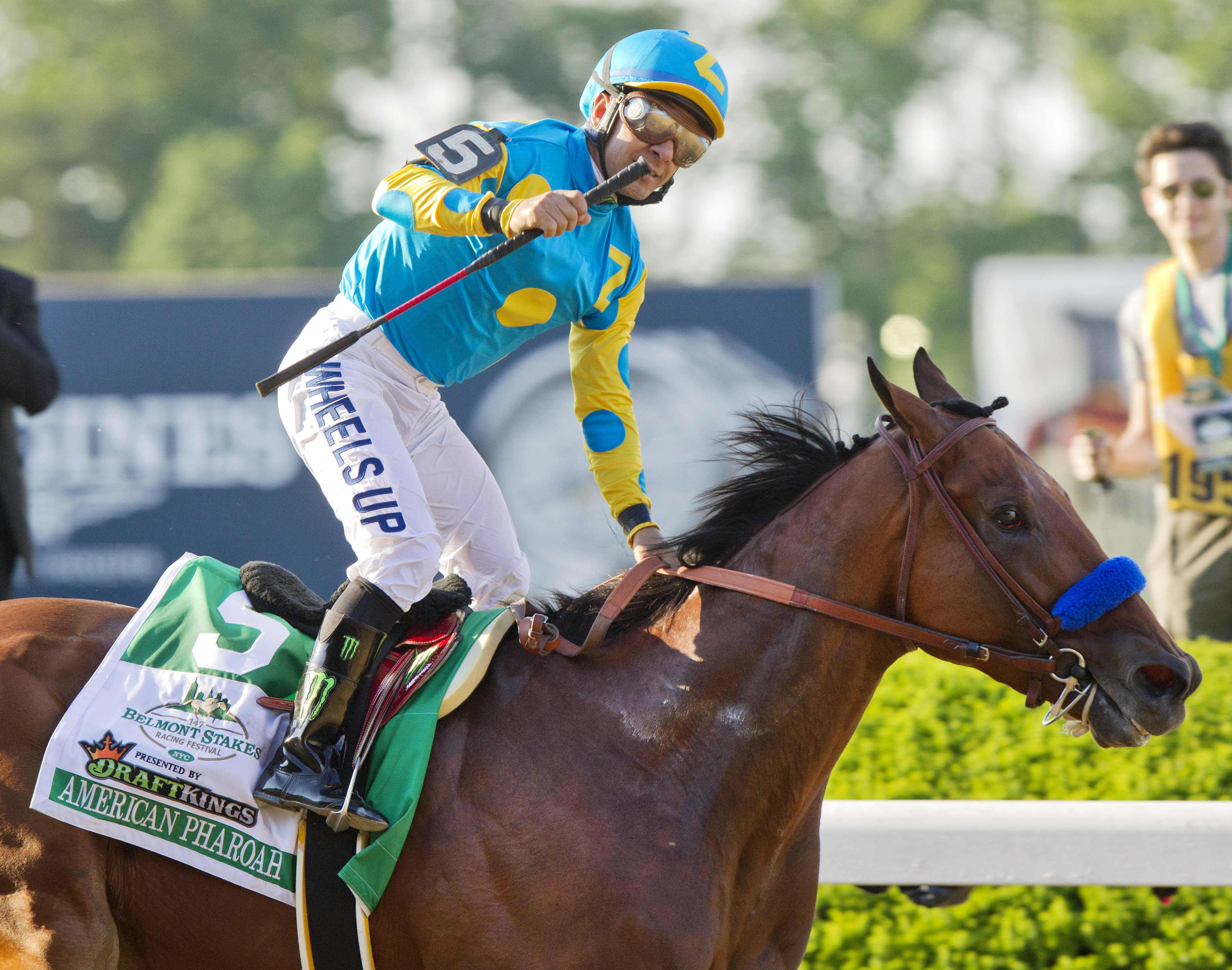 American Pharoah wins the 2015 Belmont Stakes