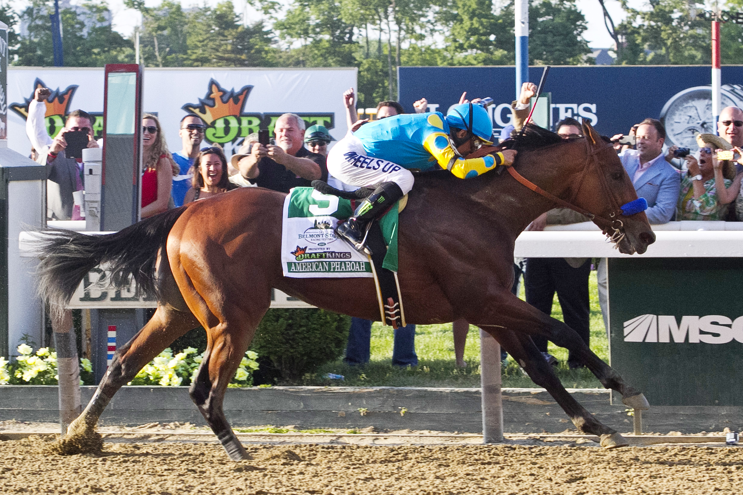 American Pharoah wins the Belmont Stakes