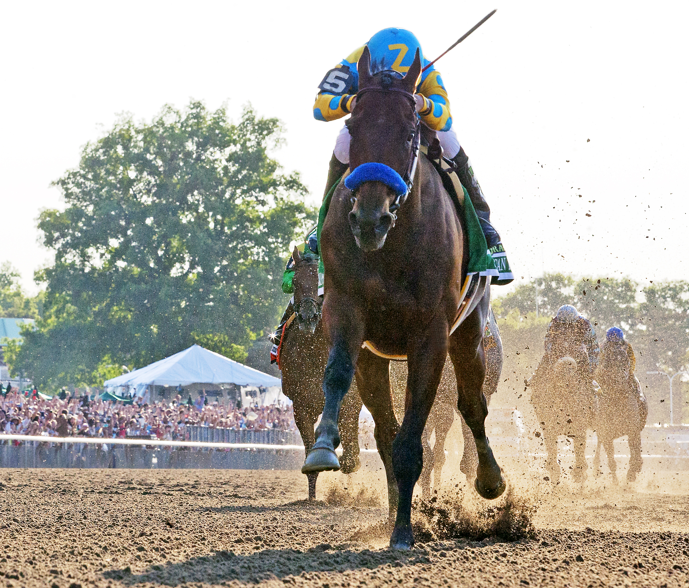 American Pharoah wins the Belmont Stakes