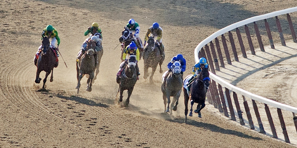 American Pharoah enters the stretch of the Belmont Stakes