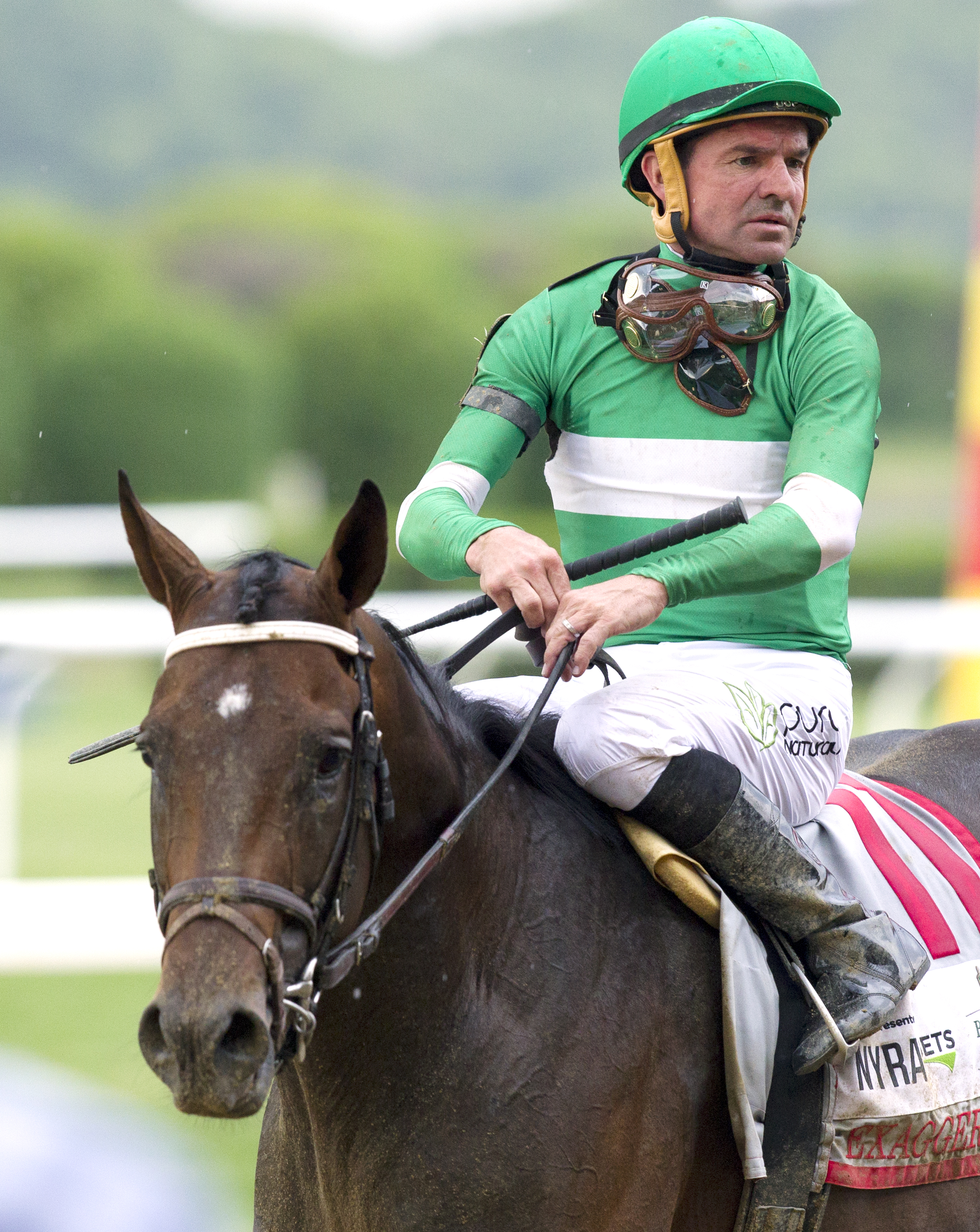Exaggerator at the Belmont Stakes