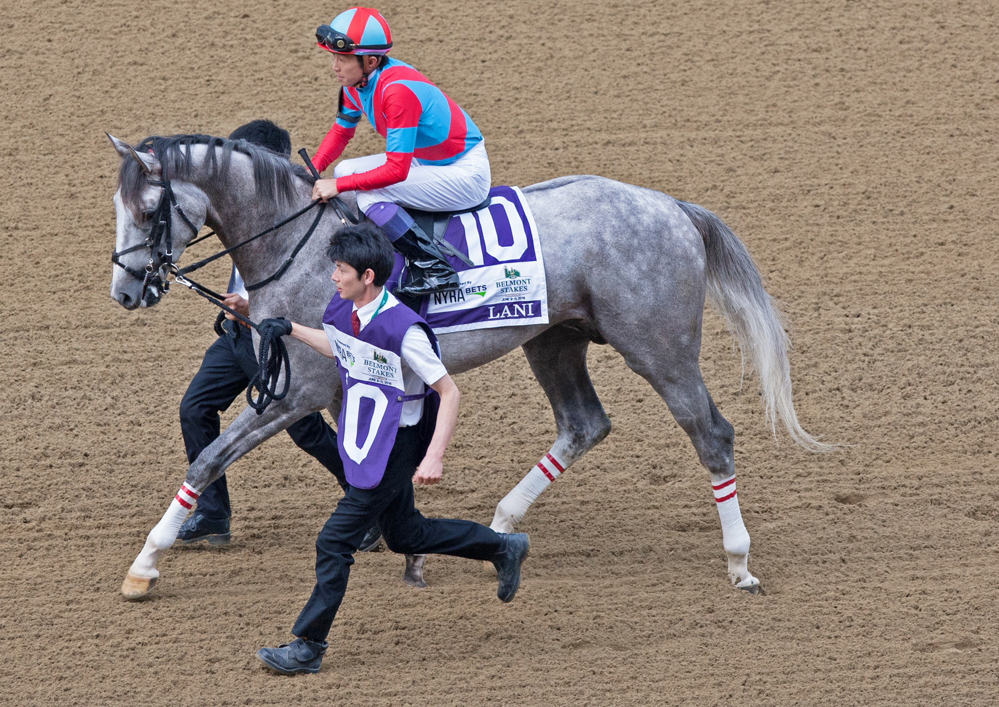 Lani at the 2016 Belmont Stakes