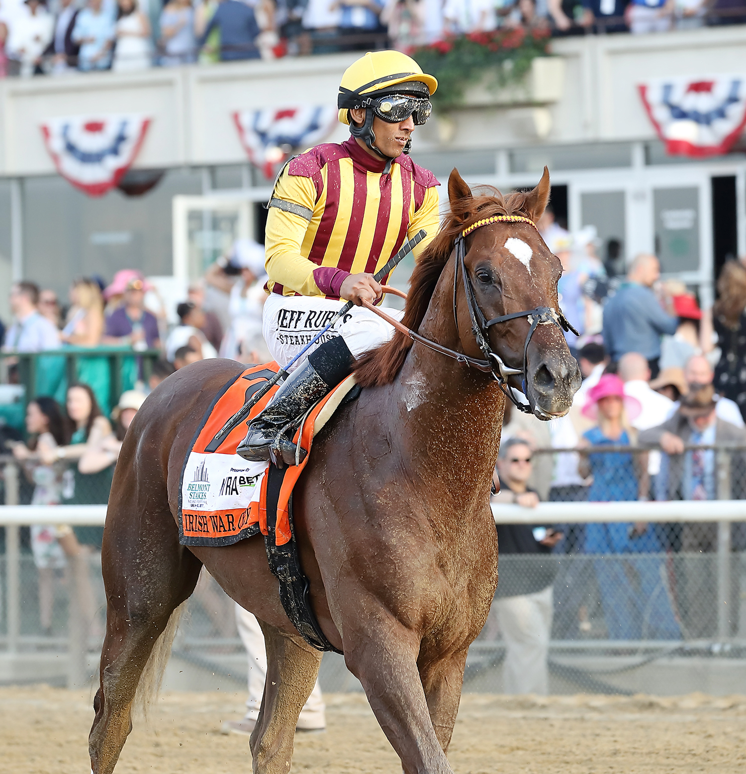 Irish War Cry after finishing second in the Belmont Stakes