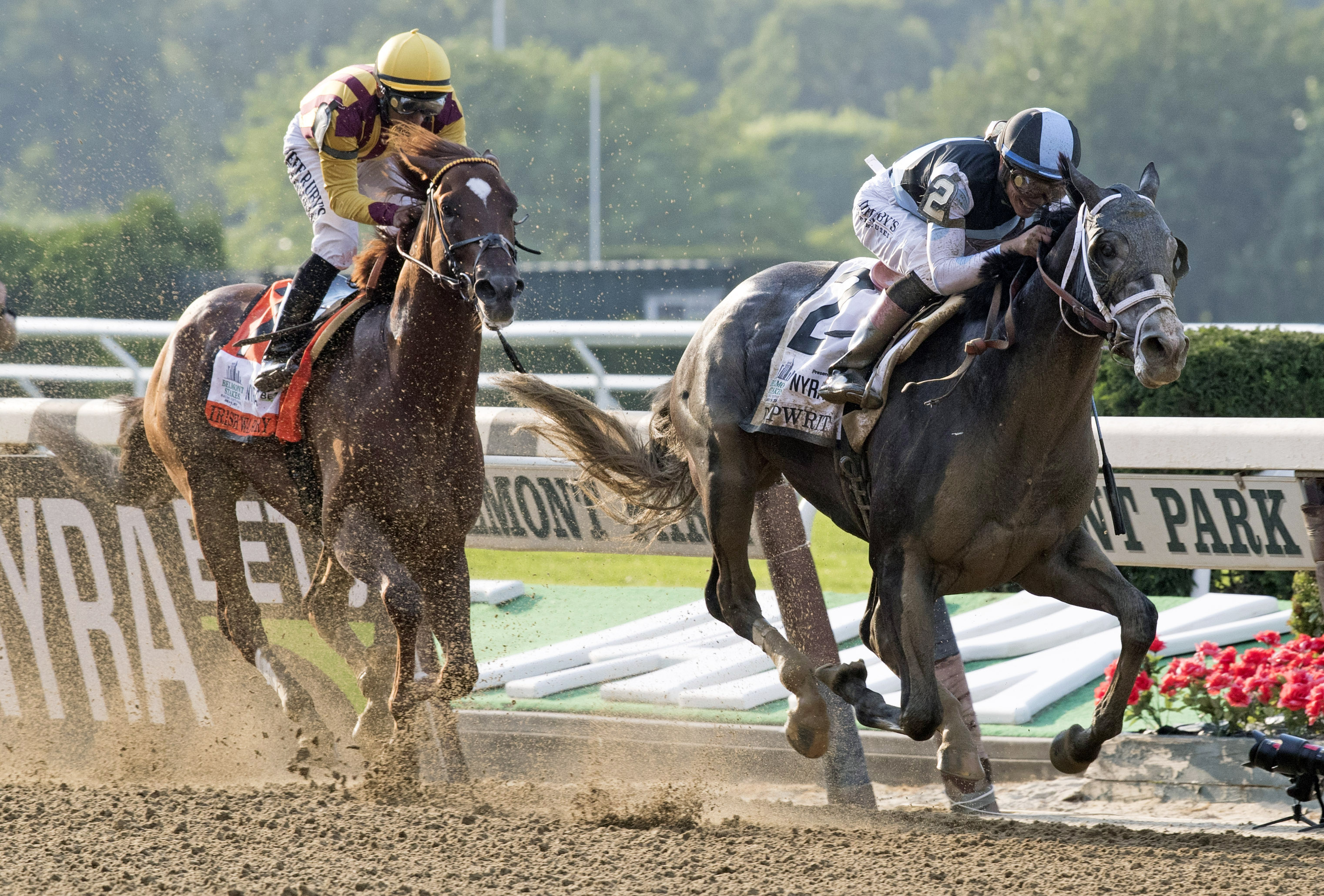 Irish War Cry finishes second at the Belmont Stakes