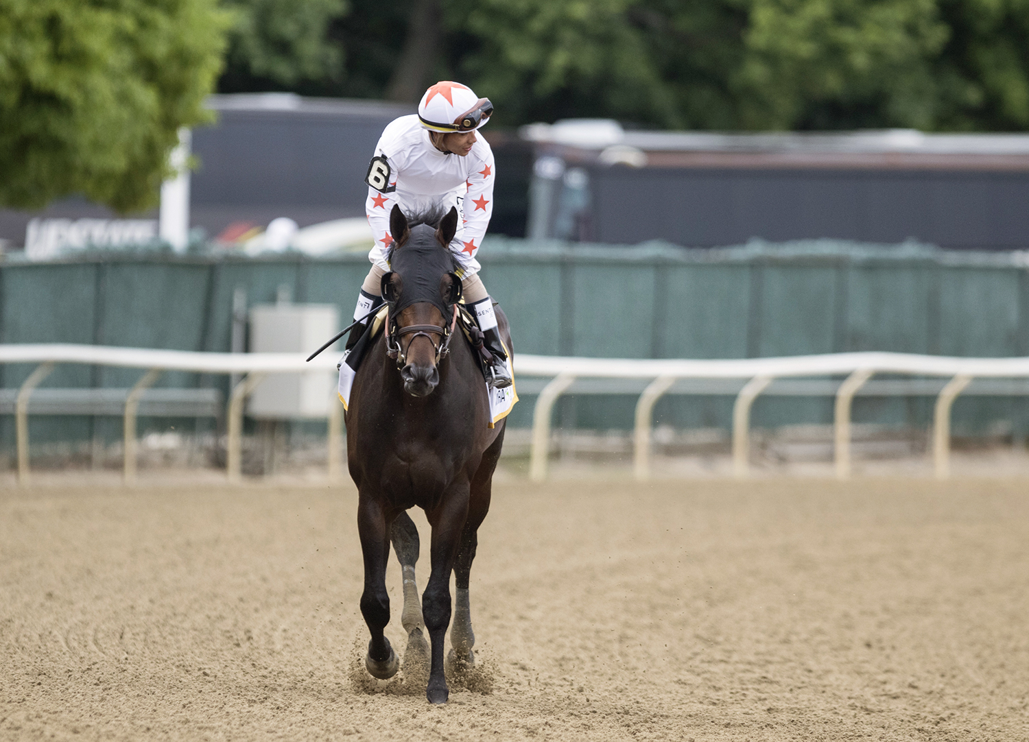 Gronkowski before the Belmont Stakes