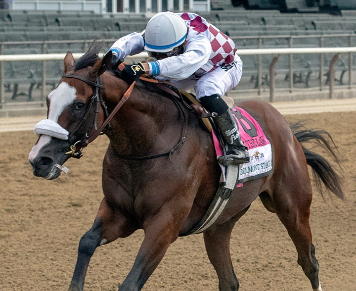 Tiz the Law wins the 2020 Belmont Stakes at Belmont Park