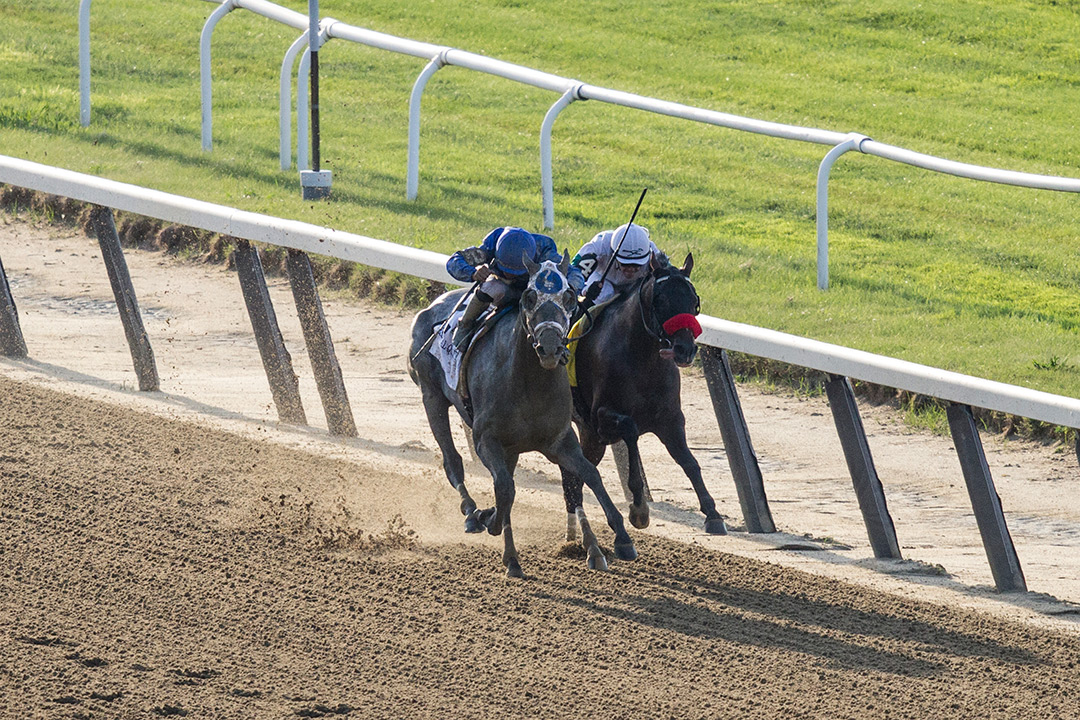 Essential Quality (left) and Hot Rod Charlie early in the stretch of the Belmont Stakes