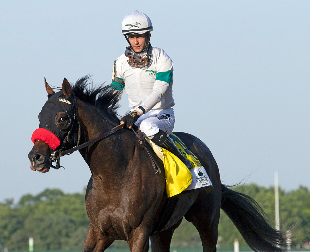 Hot Rod Charlie after finishing second in the 2021 Belmont Stakes