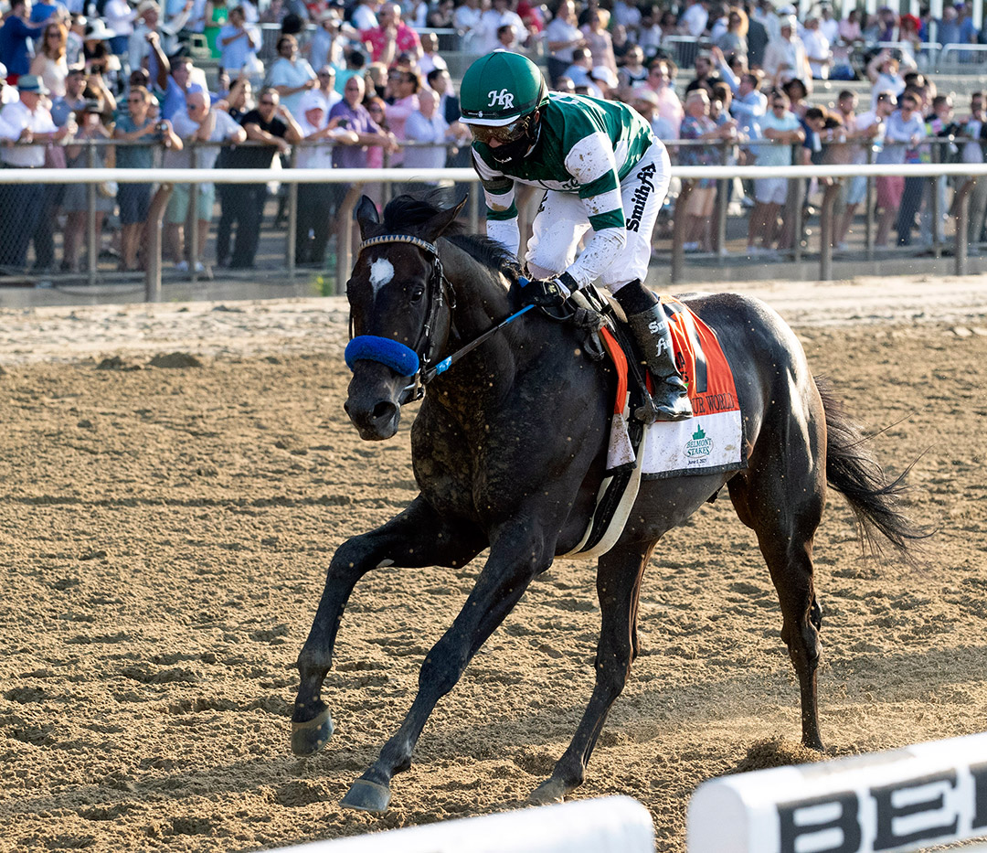 Rock Your World finishes sixth in the Belmont Stakes at Belmont Park