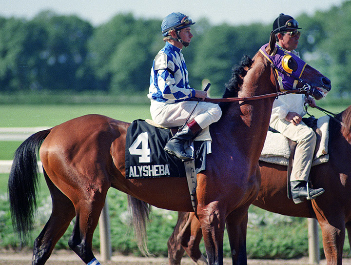 Alysheba at the 1987 Belmont Stakes