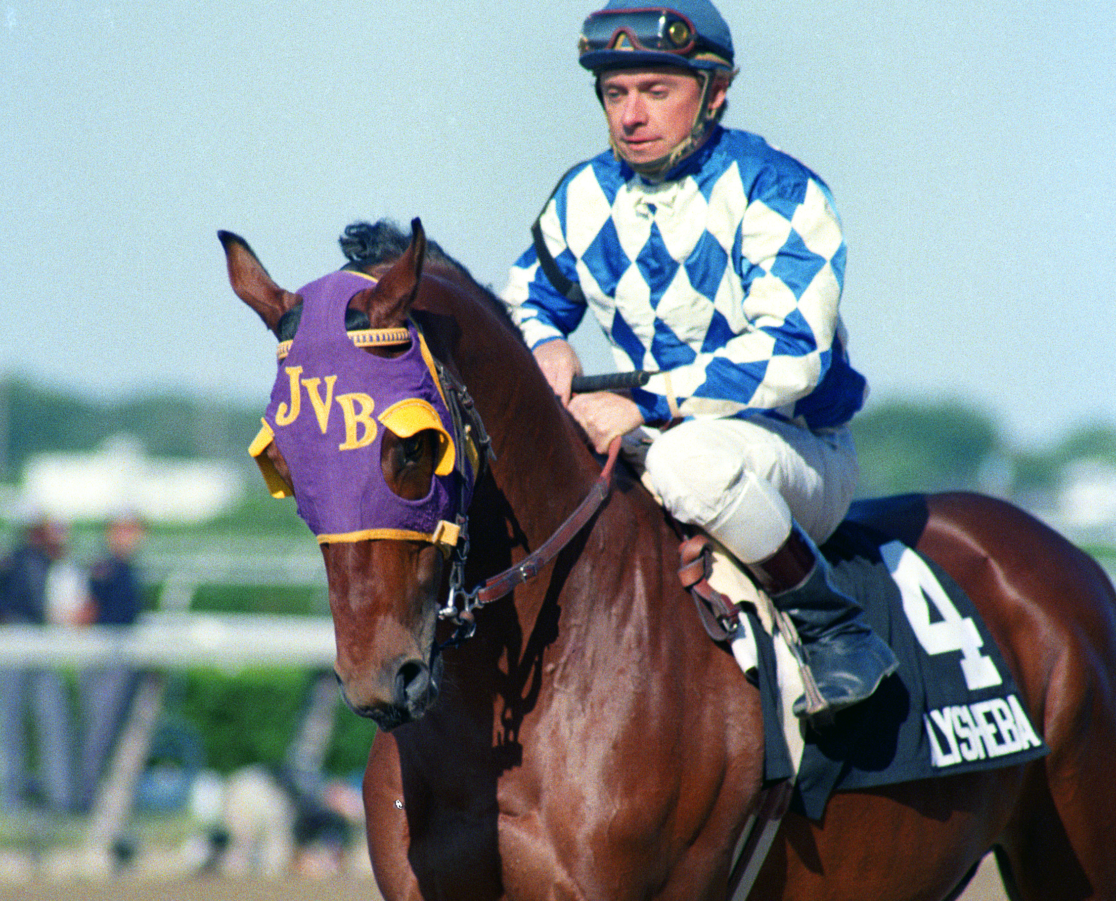 Alysheba at the 1987 Belmont Stakes