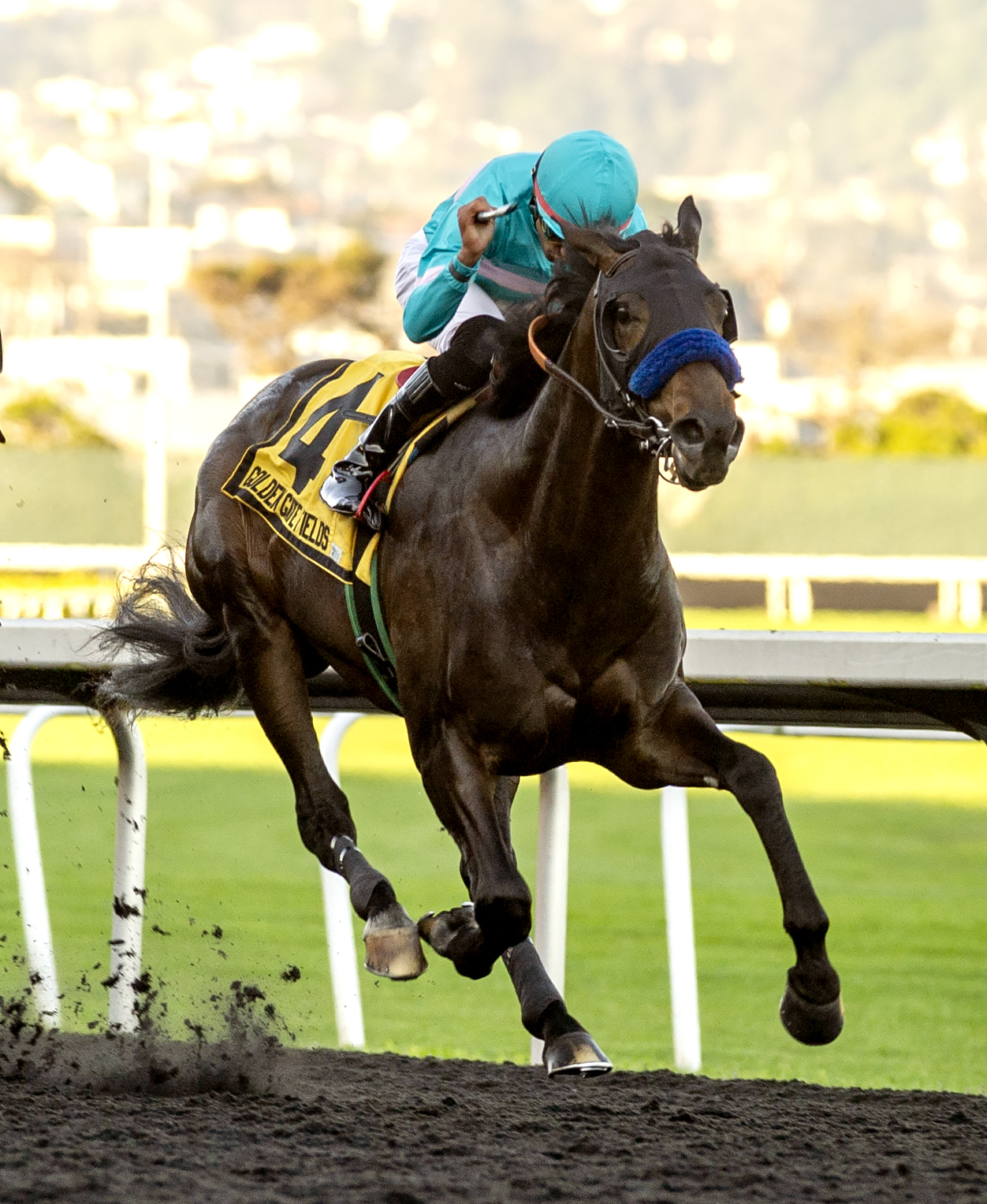 Blackadder - El Camino Real Derby 2022