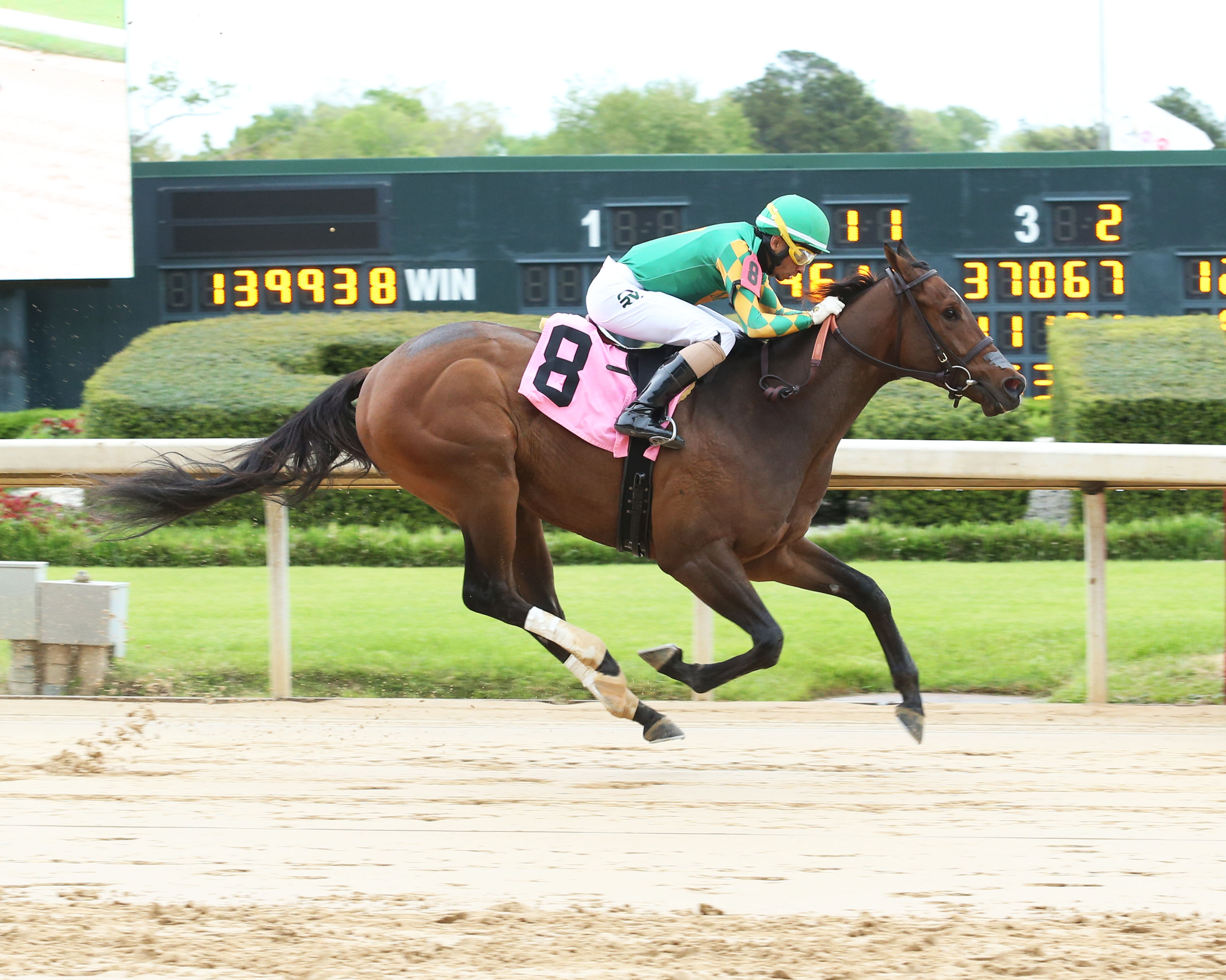 Blame J D/Rainbow Stakes