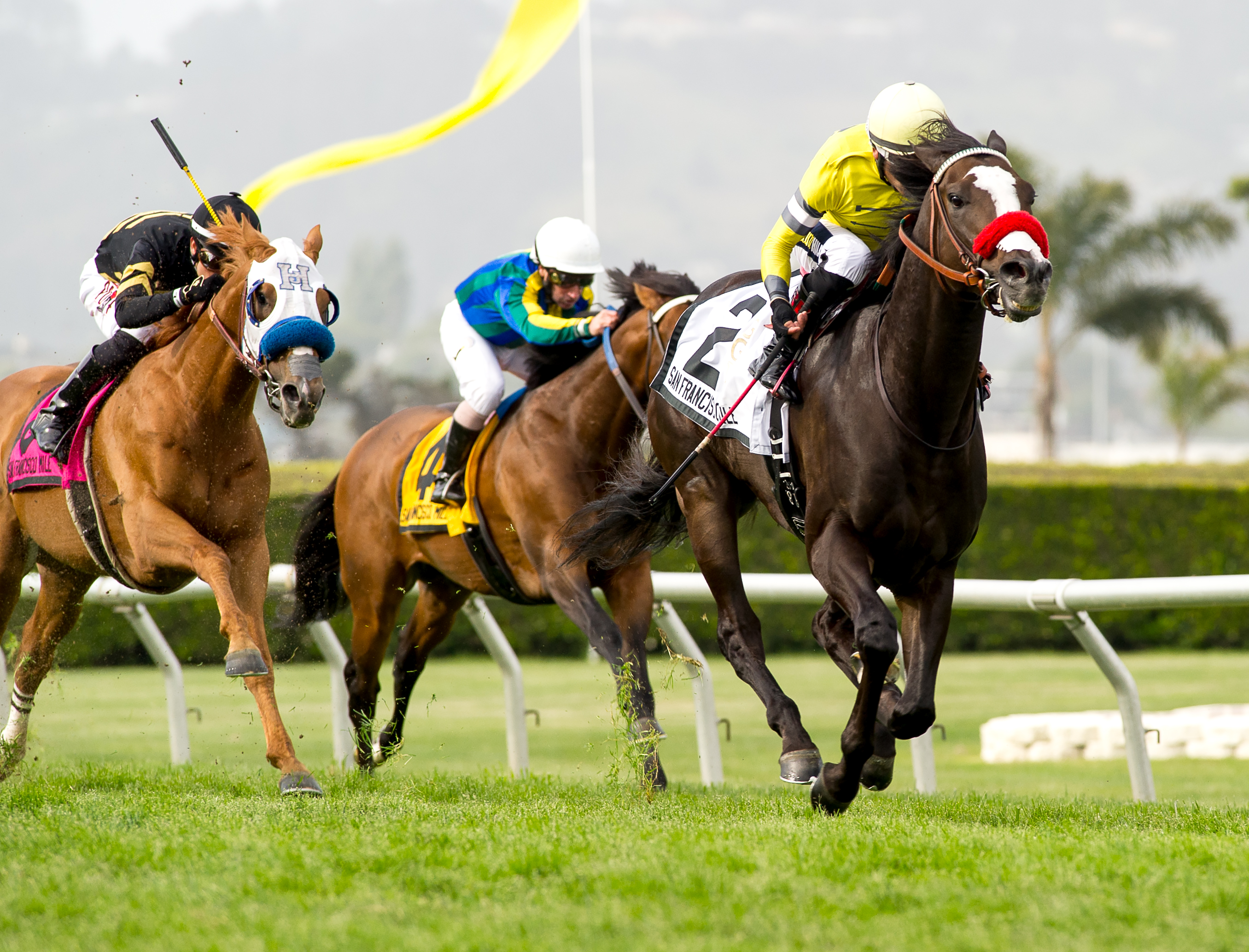 Blitzkrieg wins the 2019 SF Mile