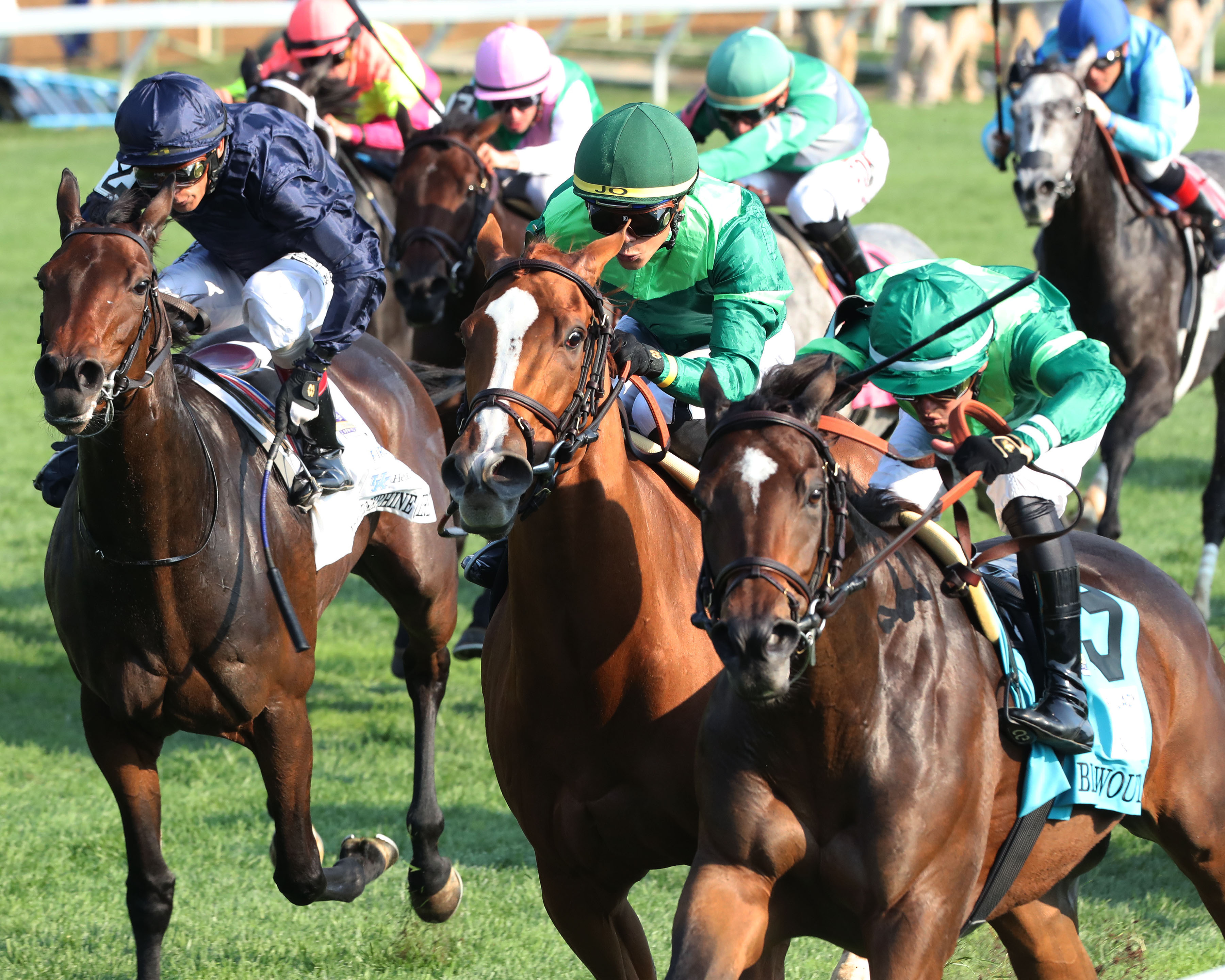 Blowout (right) wins First Lady 10-9-2021