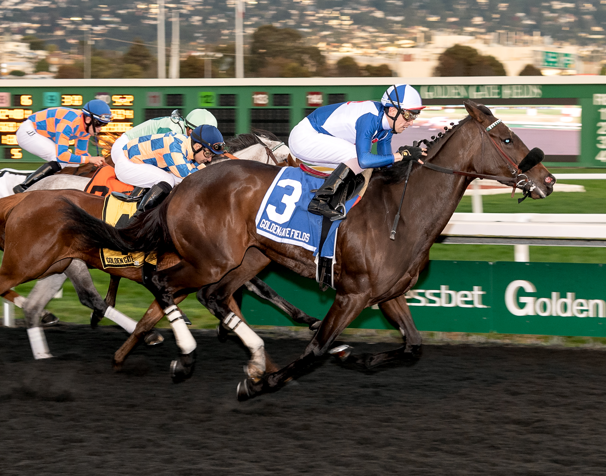 Blue Diva wins the 2019 Miss America Stakes