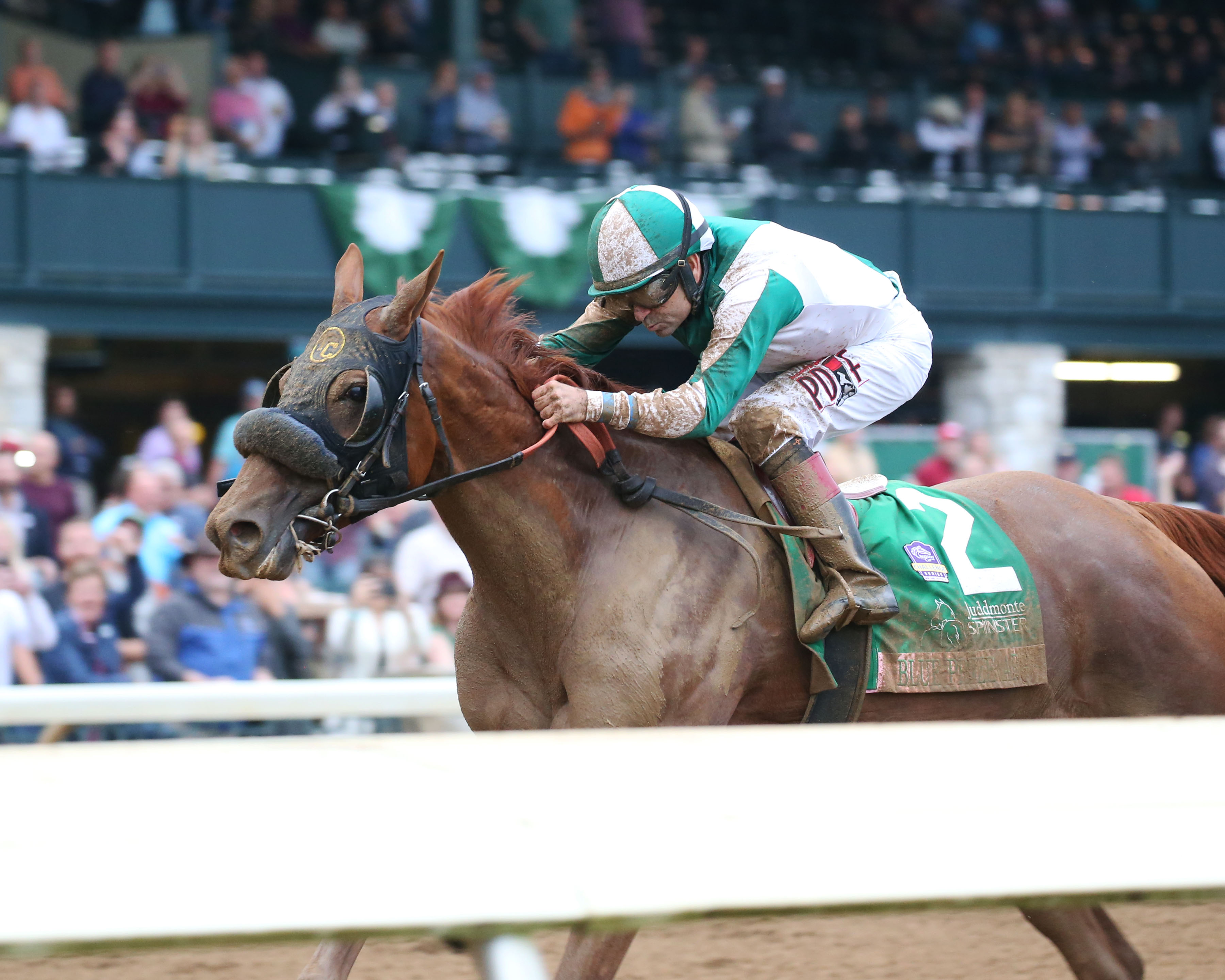 Blue Prize wins the 2019 Spinster Stakes