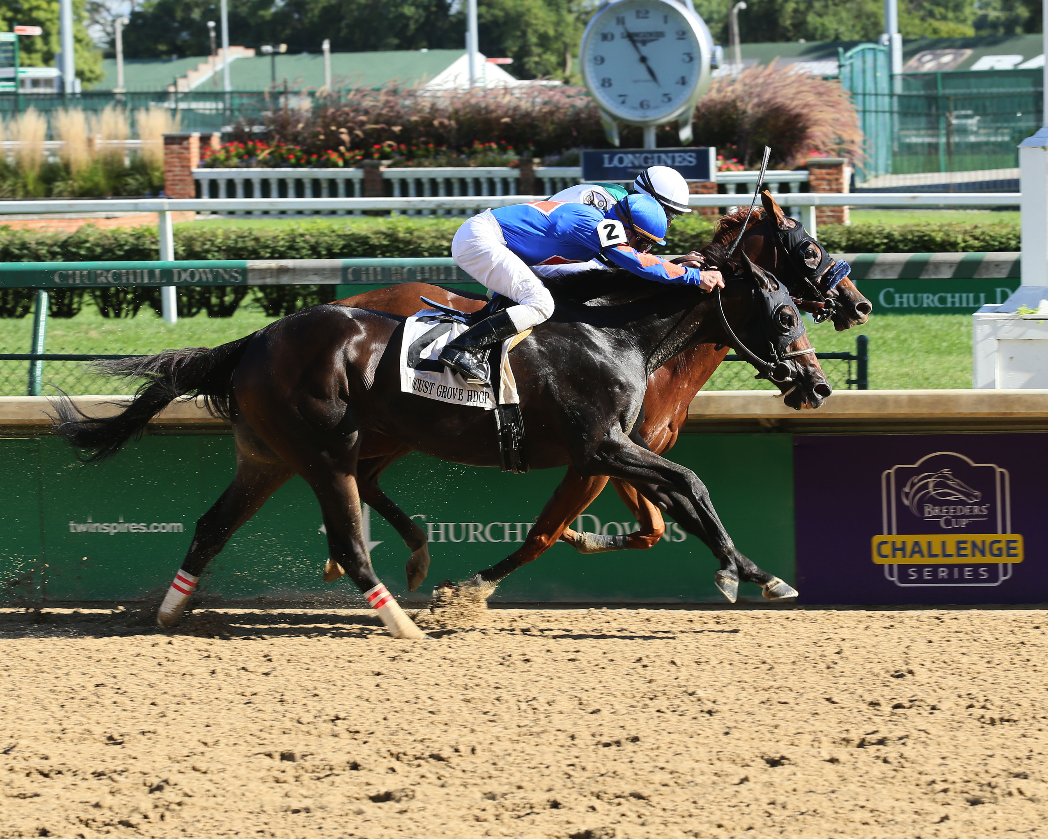Blue Prize wins 2018 Locust Grove
