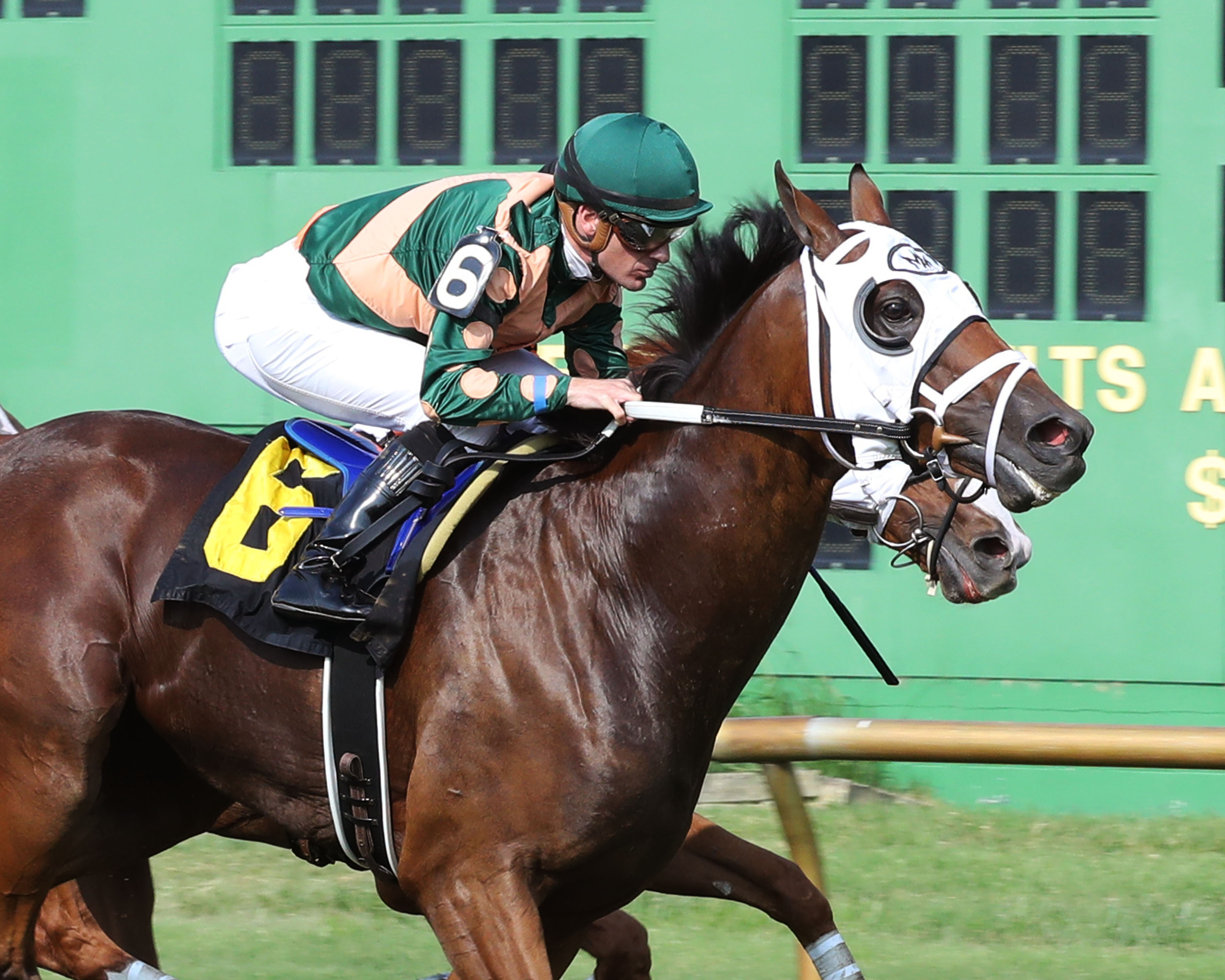 Bluegrass Parkway wins Turf Cup Preview 8-8-2021
