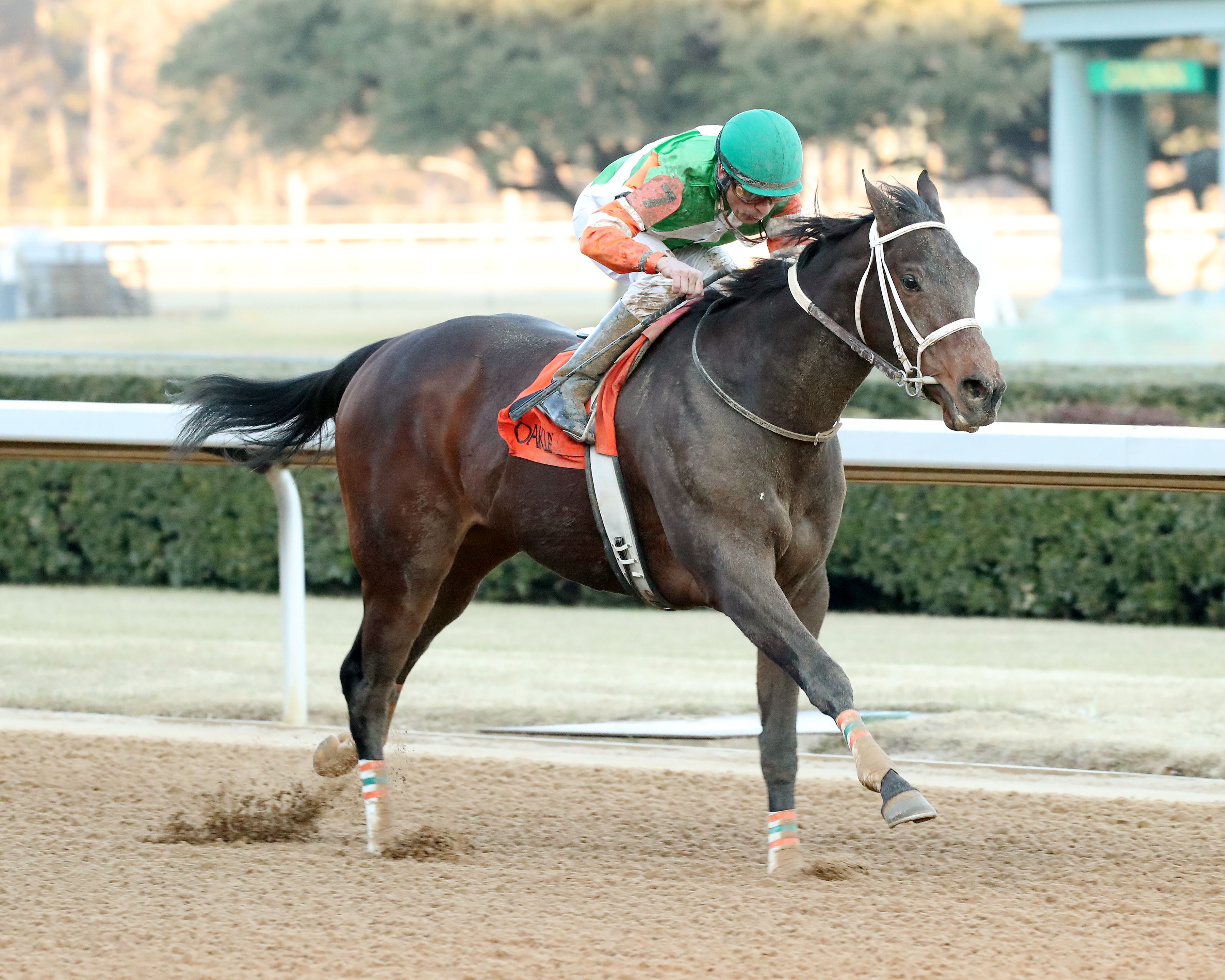 Bob's Edge wins the King Cotton 1-29-2022