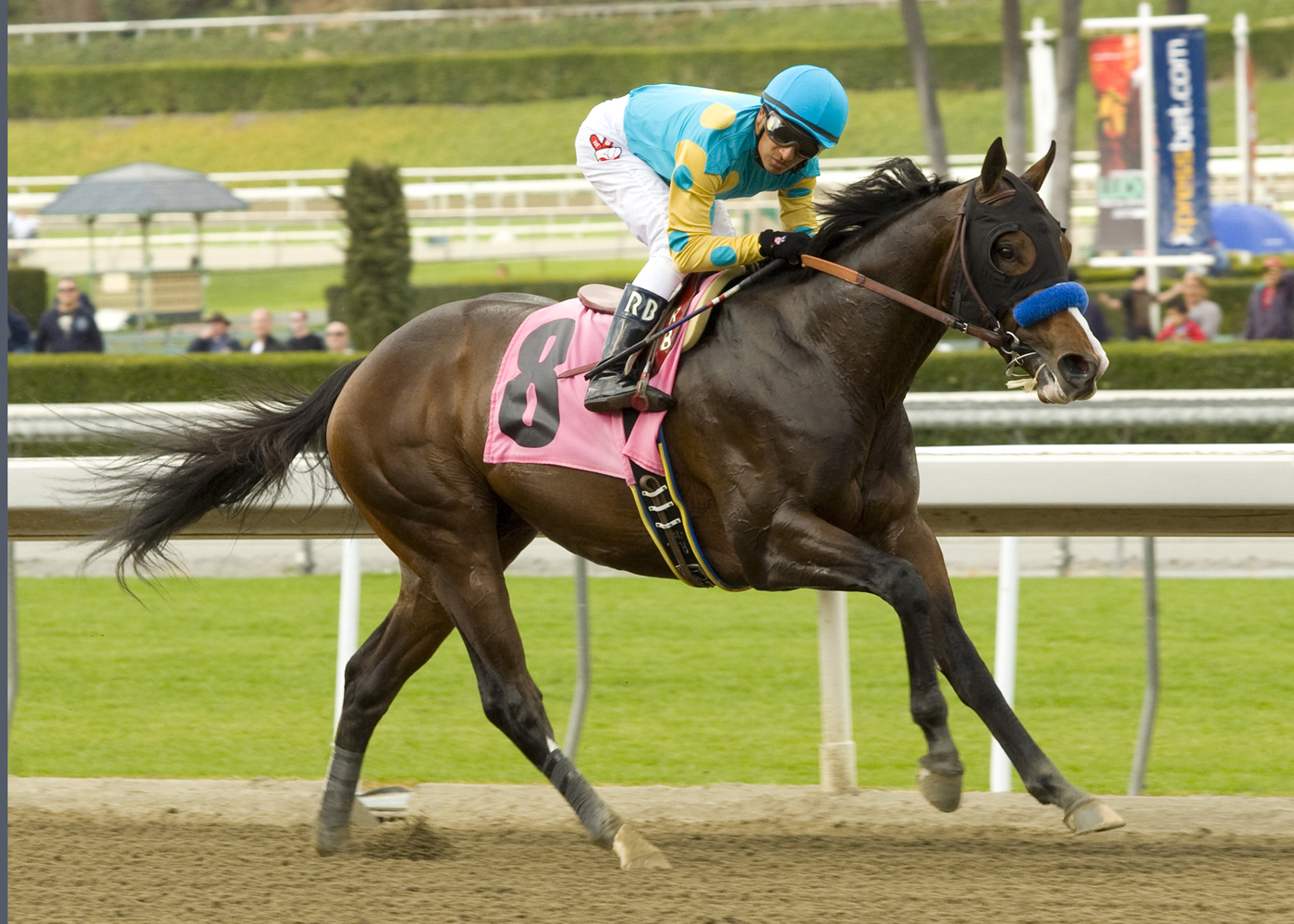 Bodemeister/maiden victory