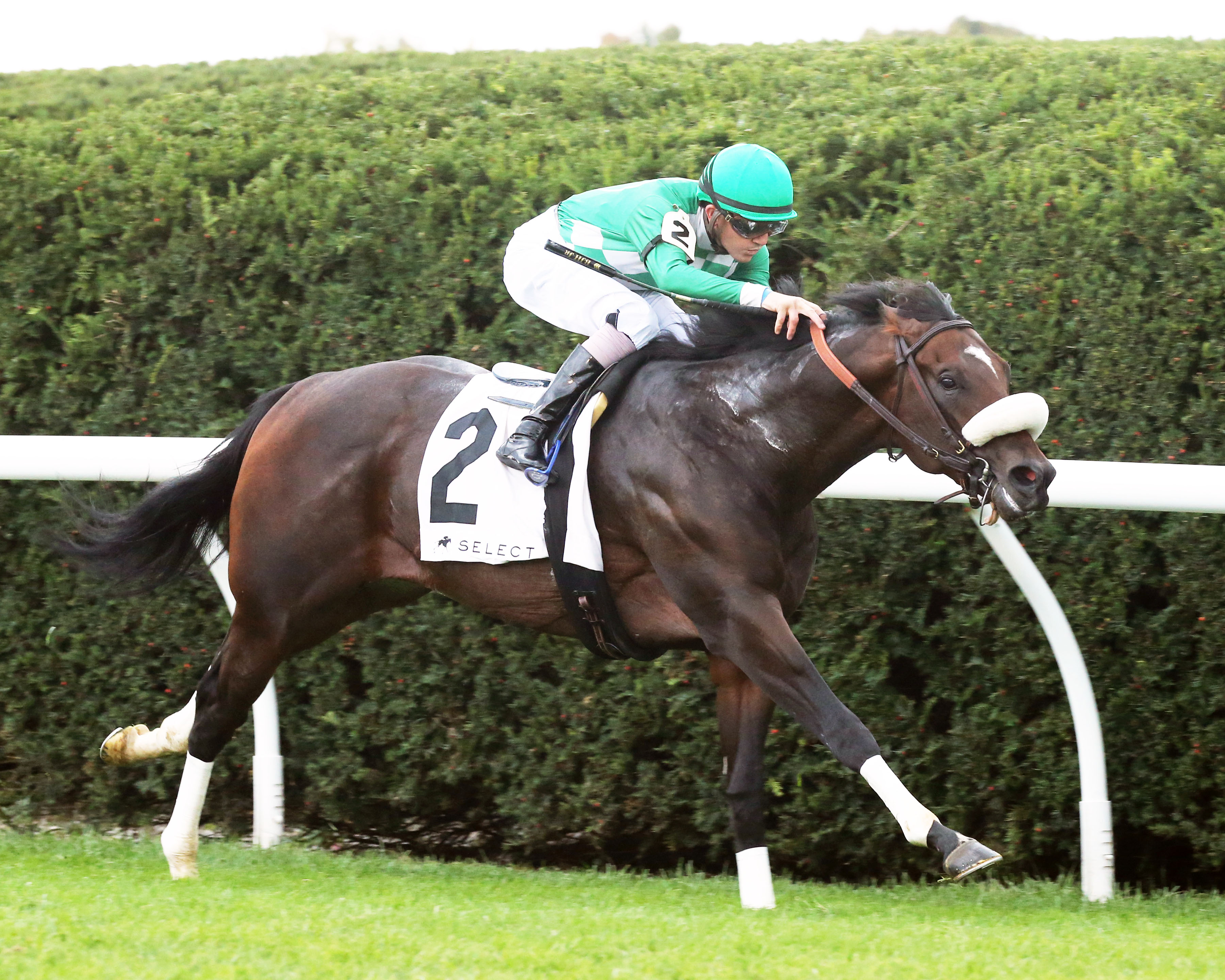 Bodenheimer wins Indians Summer 10-4-2020