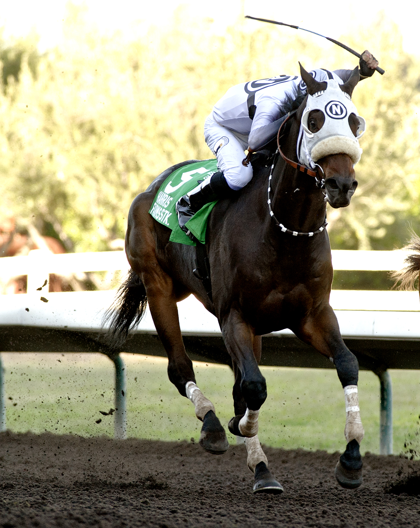 Bold Fantasy wins the 2018 Harris Farms Stakes
