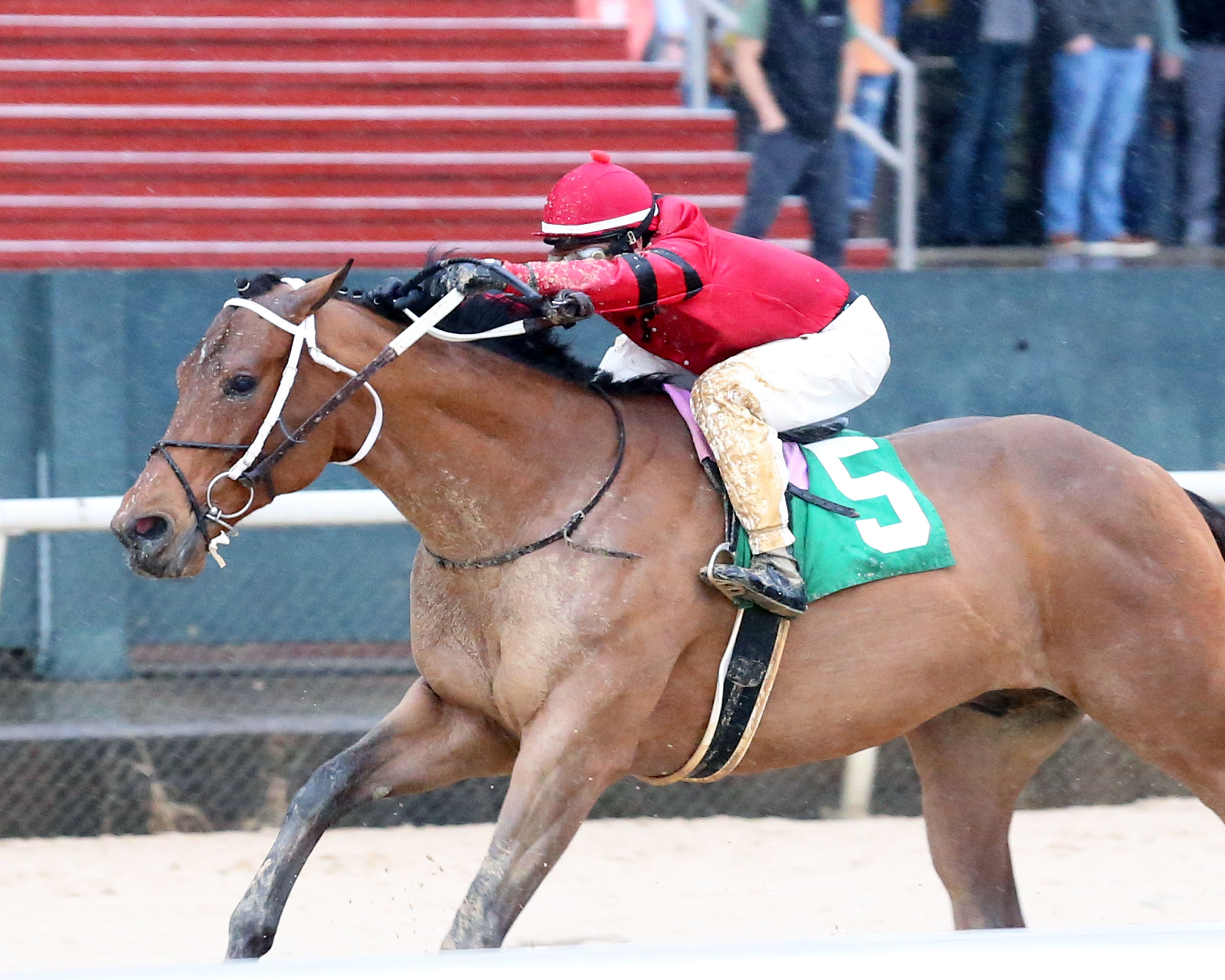 Boldor wins King Cotton 2-6-2021