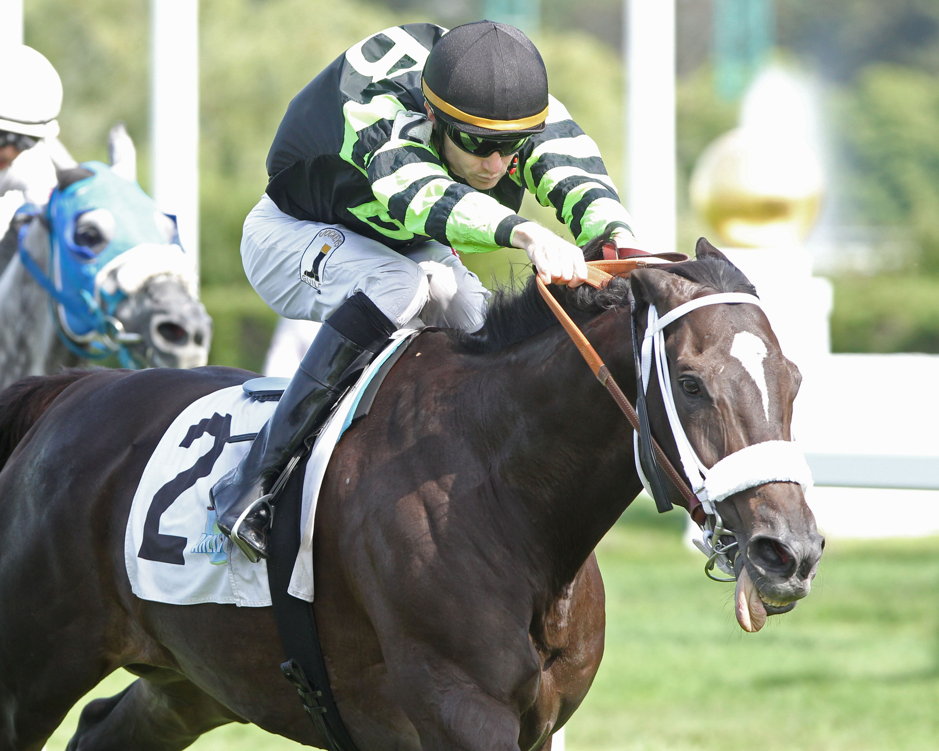 Bramble Queen wins the Mike Spellman 8-14-2021