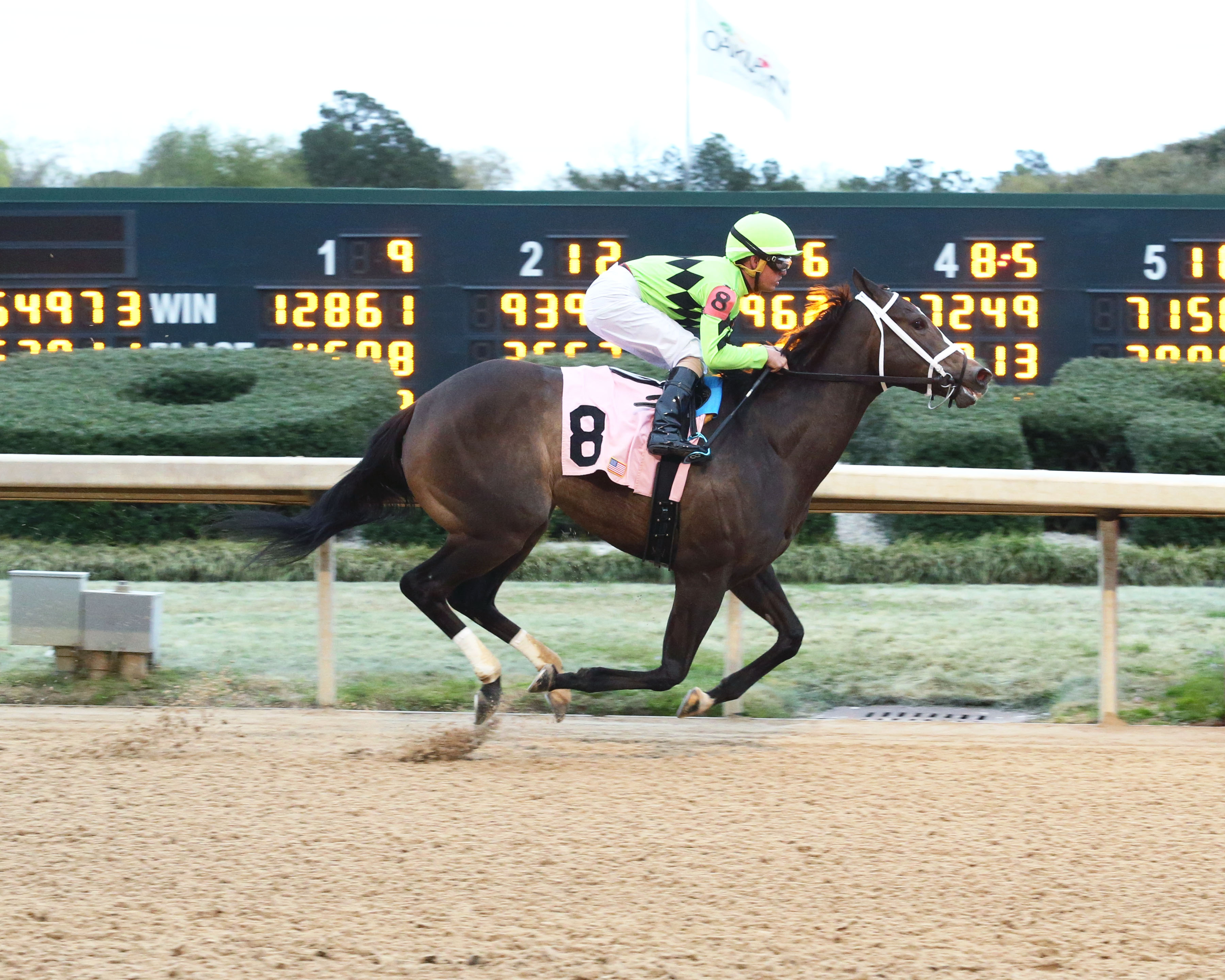 Break Even wins the 2019 Purple Martin Stakes