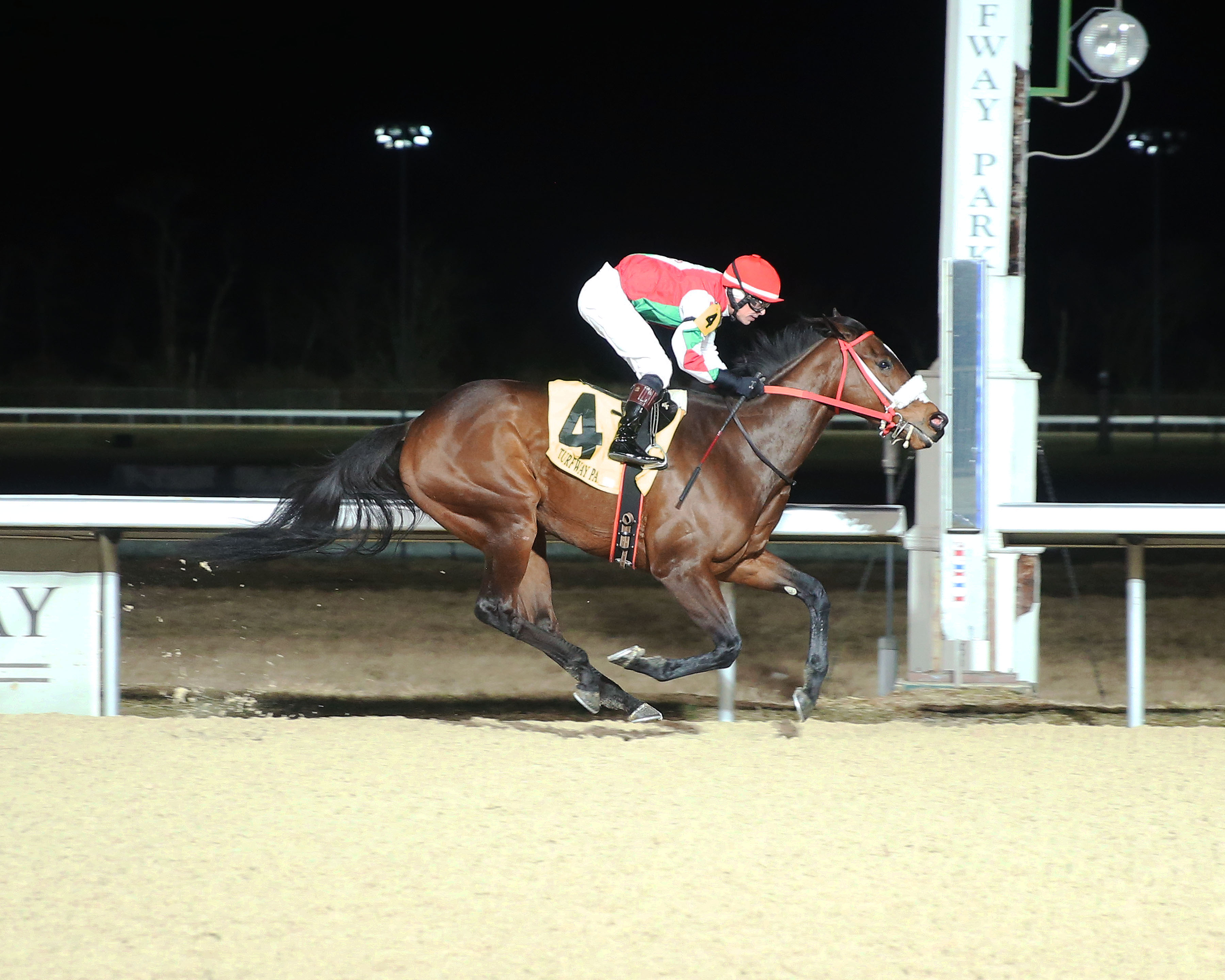 Breeze Rider/Wintergreen
