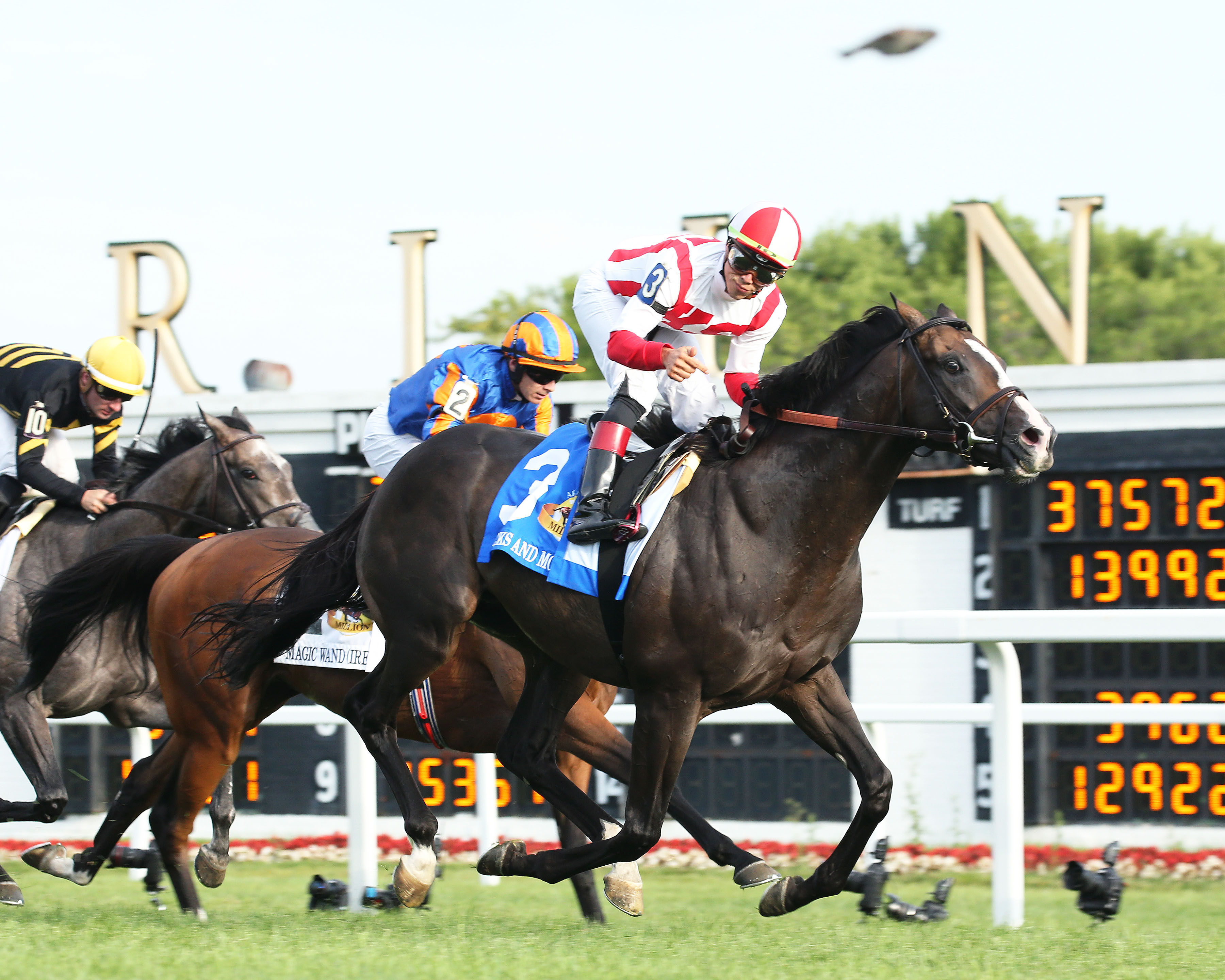 Bricks and Mortar wins the 2019 Arlington Million