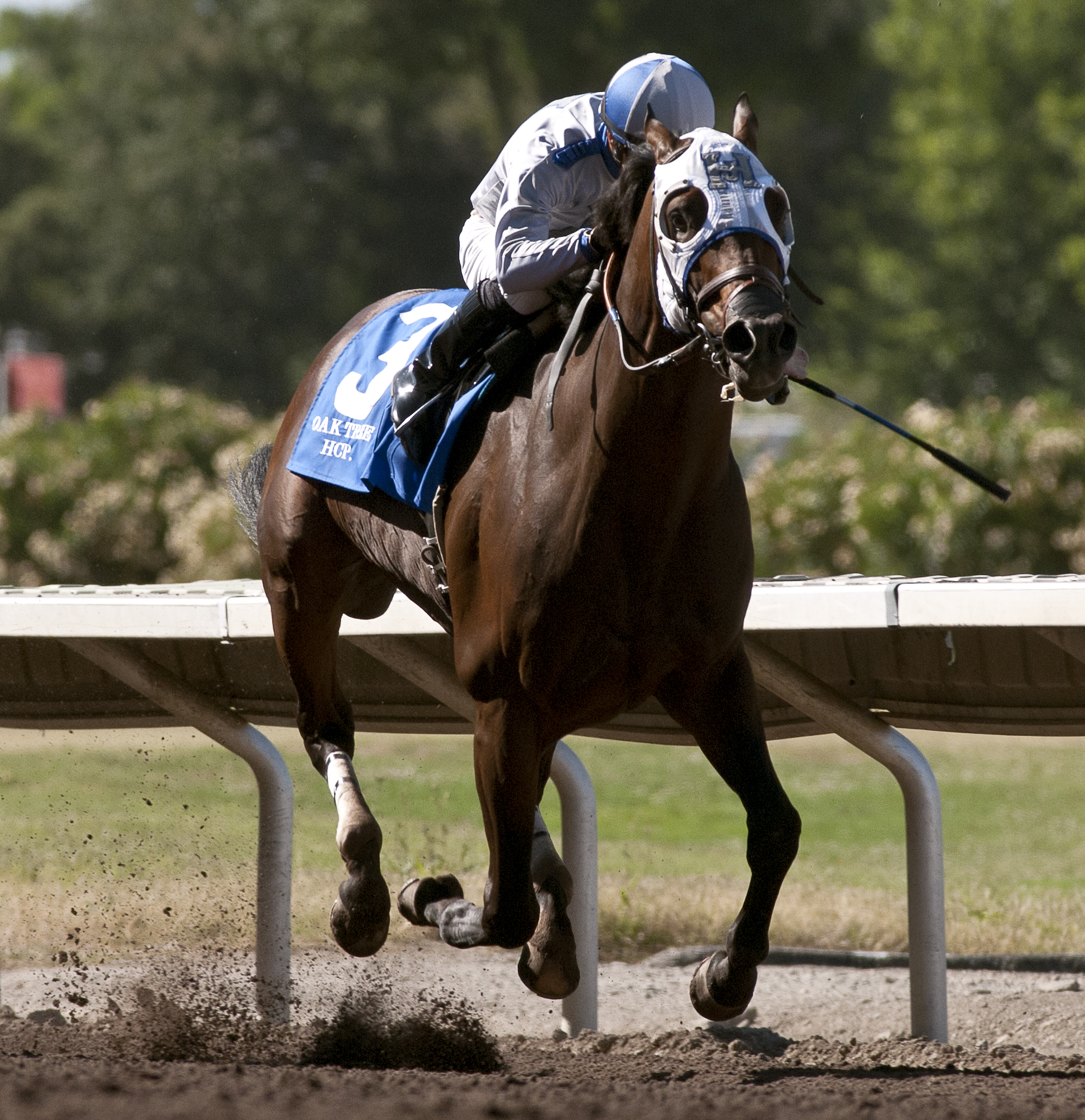 Bronze Star 6-25-2016