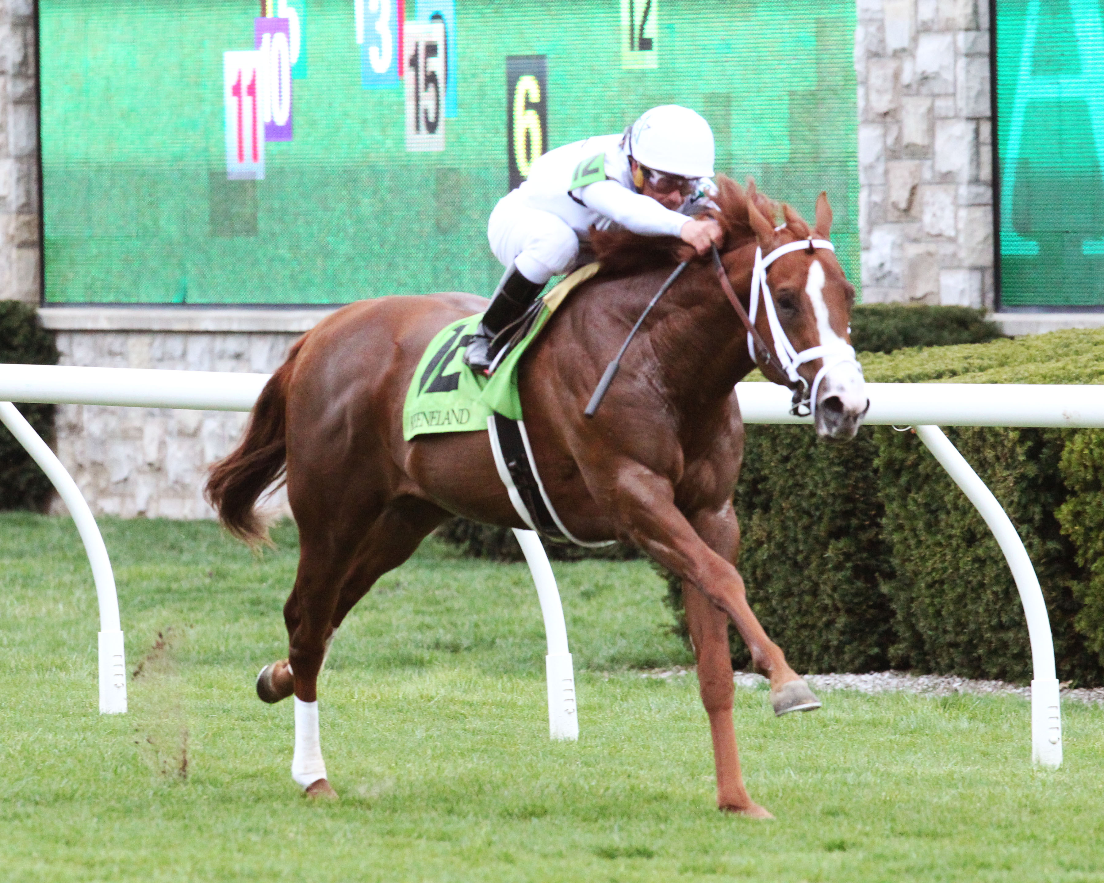 Bulletin wins the 2019 Palisades Turf Sprint