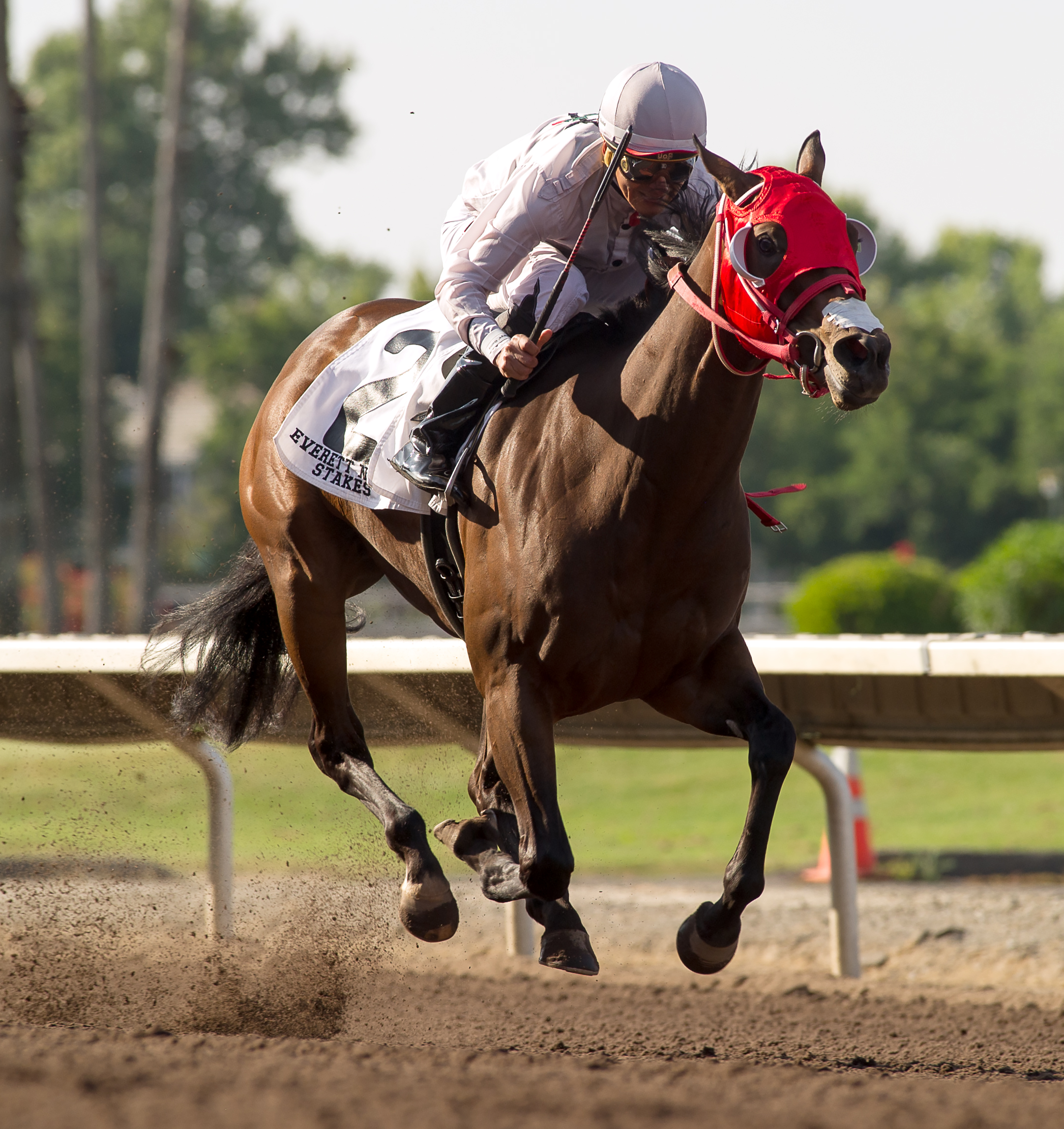 Bulletproof One wins the 2019 Everett Nevin Stakes