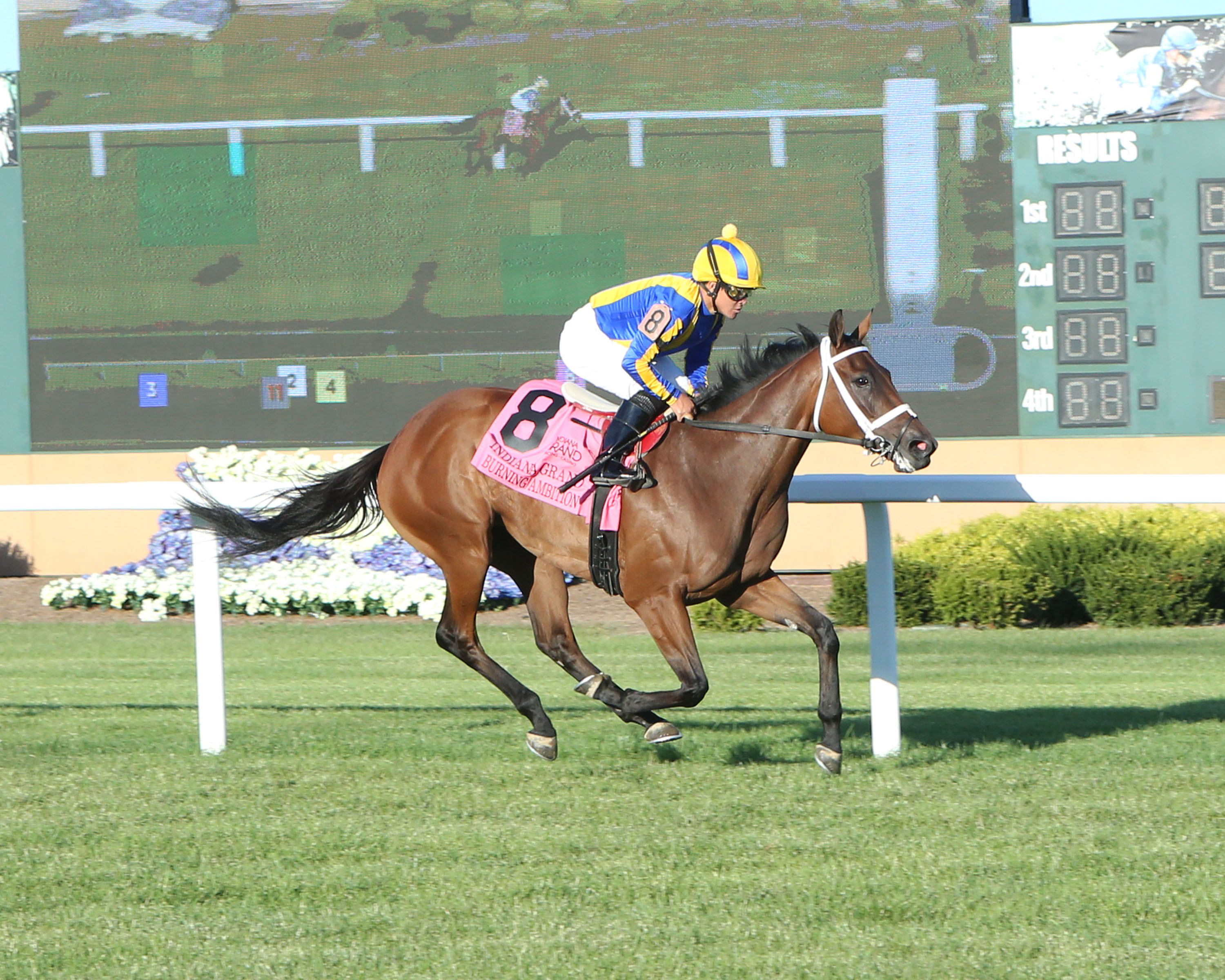 Burning Ambition/Indiana Grand Stakes