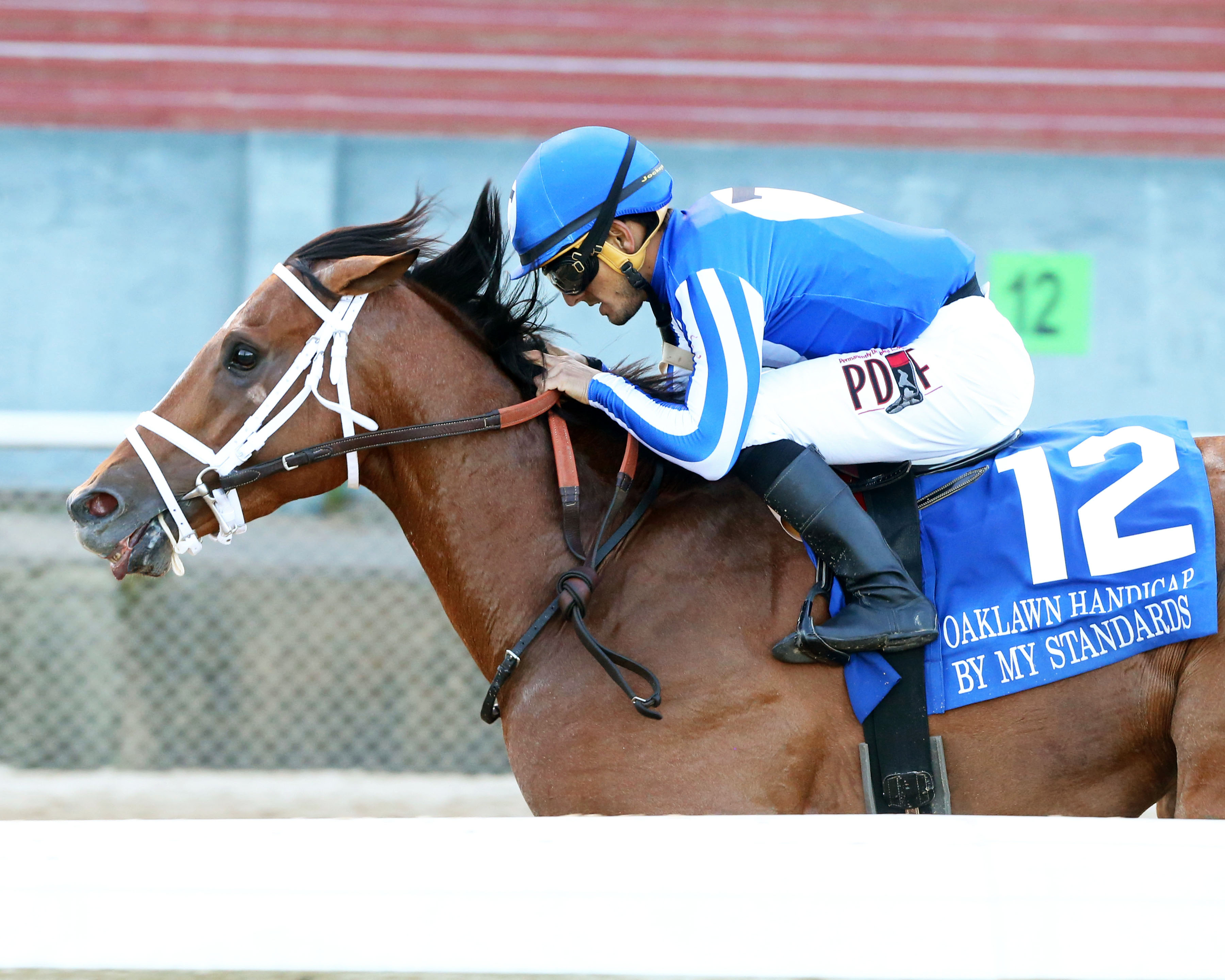 By My Standards/Oaklawn Handicap