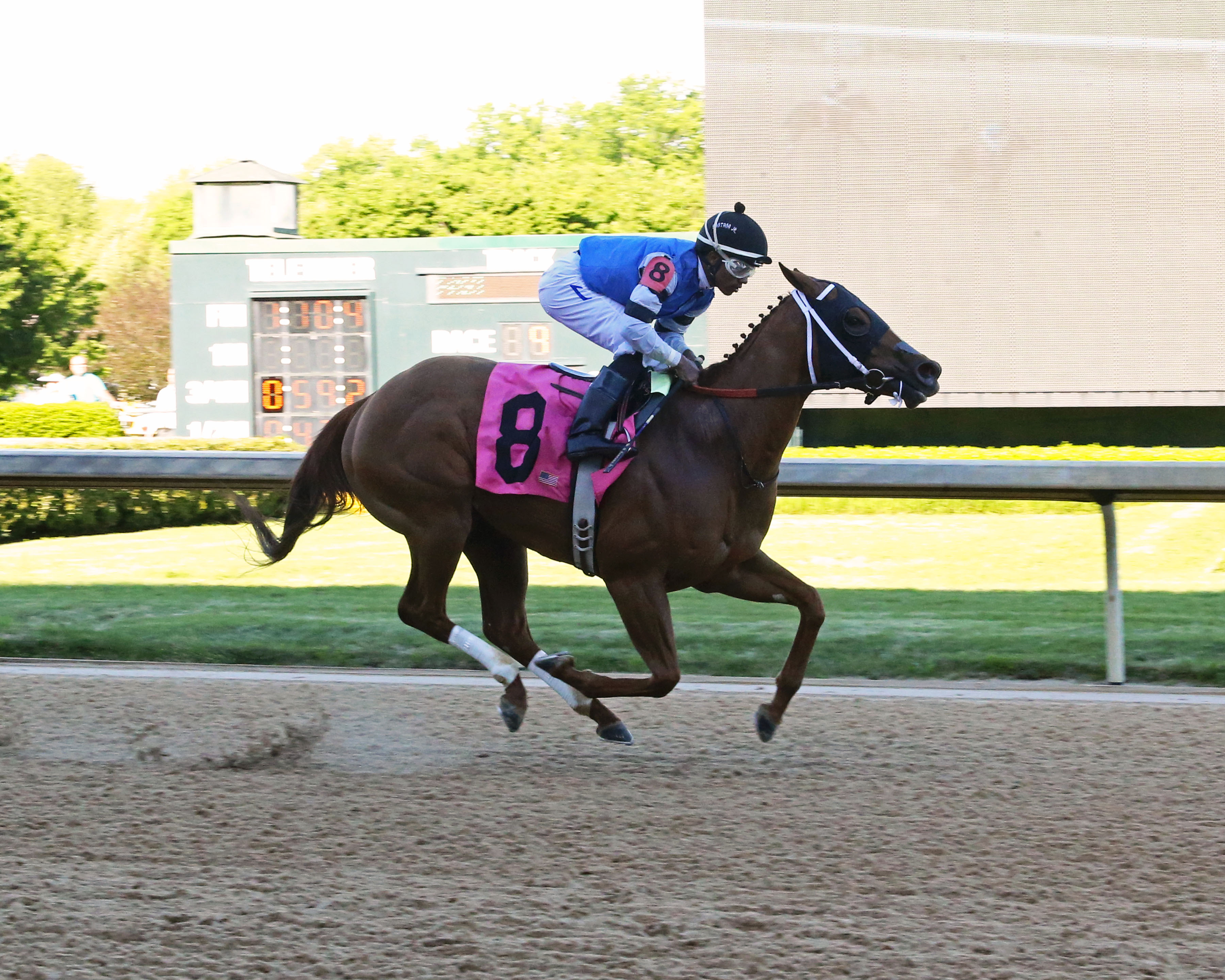 Bye Bye J wins the 2019 Rainbow Miss Stakes